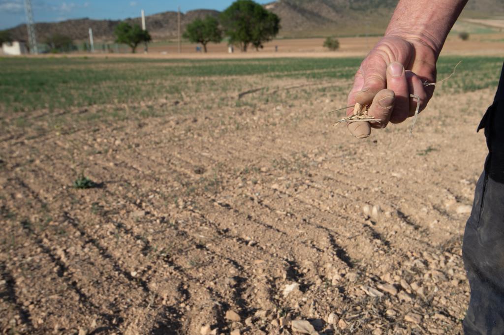 Un agricultor muestra la tierra seca, a 20 de abril de 2023, en Murcia, Regin de Murcia (Espaa). L