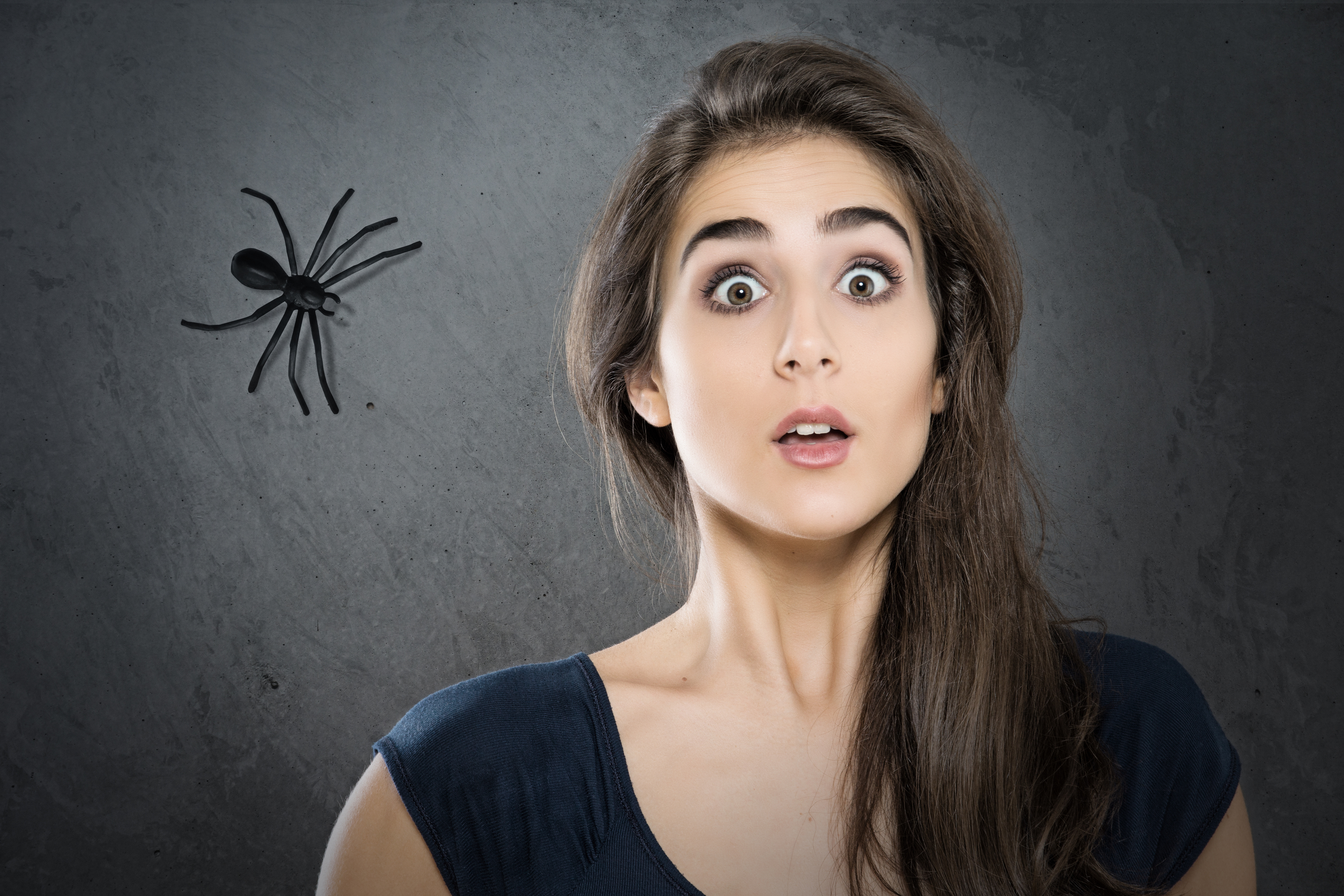 Qué significa soñar con arañas, según la psicología