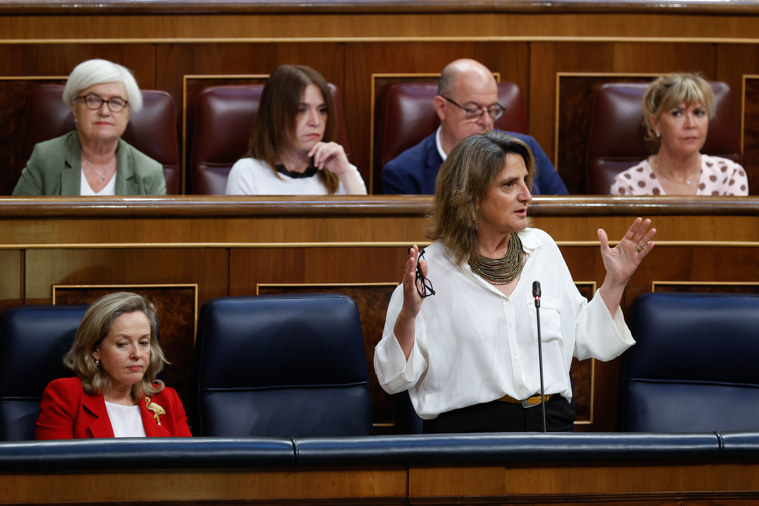 Teresa Ribera, durante la sesin de control al Gobierno en el Congreso, este mircoles.