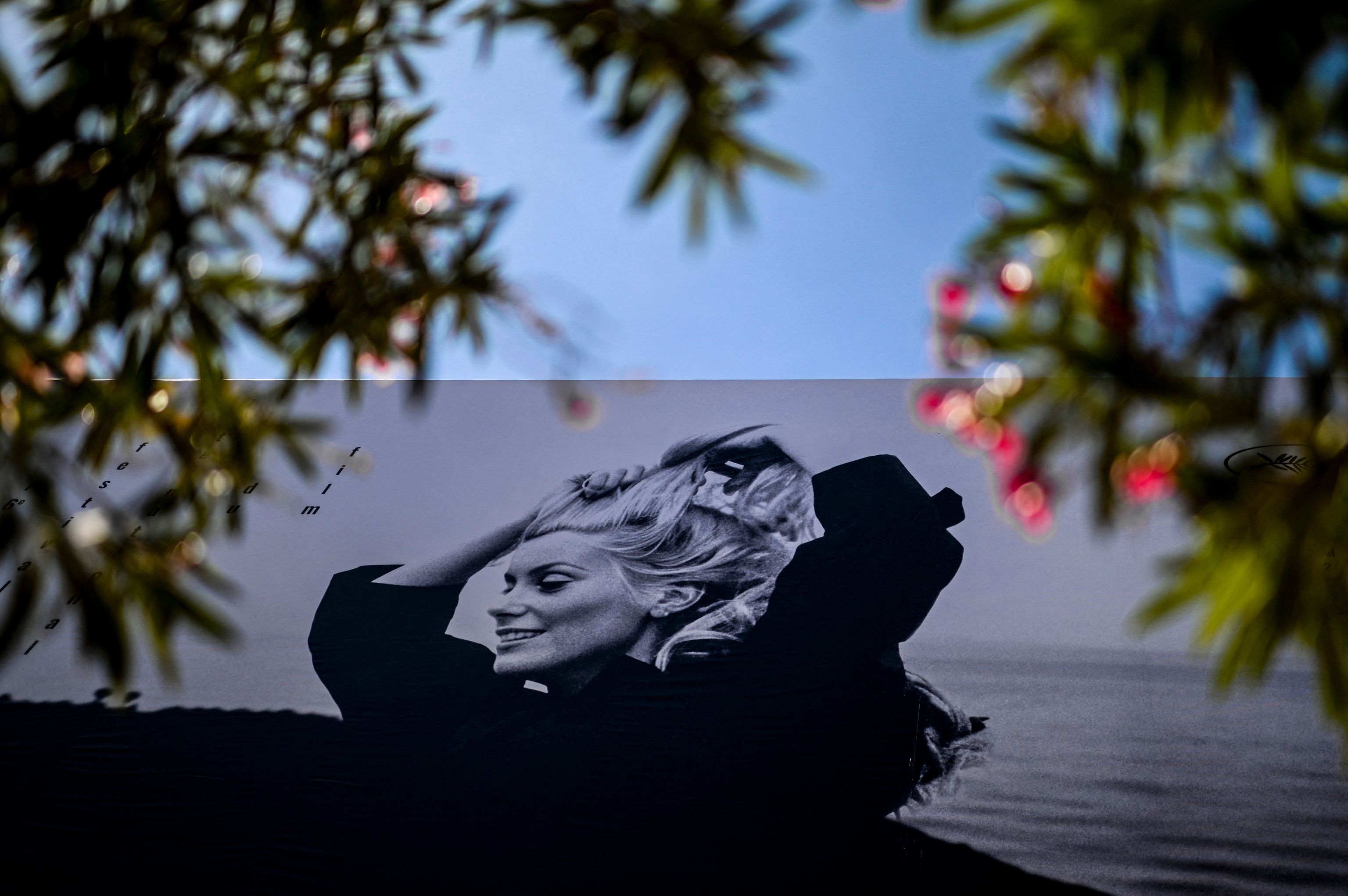 Cartel del Festival de Cannes con Catherine Deneuve.