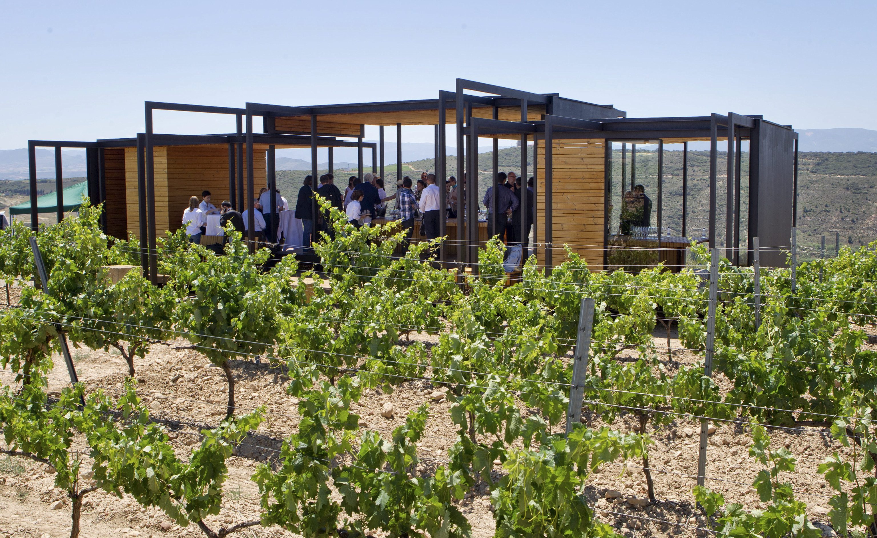 Un grupo de turistas disfrutan de una cata de vinos a cielo abierto en una de las bodegas de la DOC Rioja.