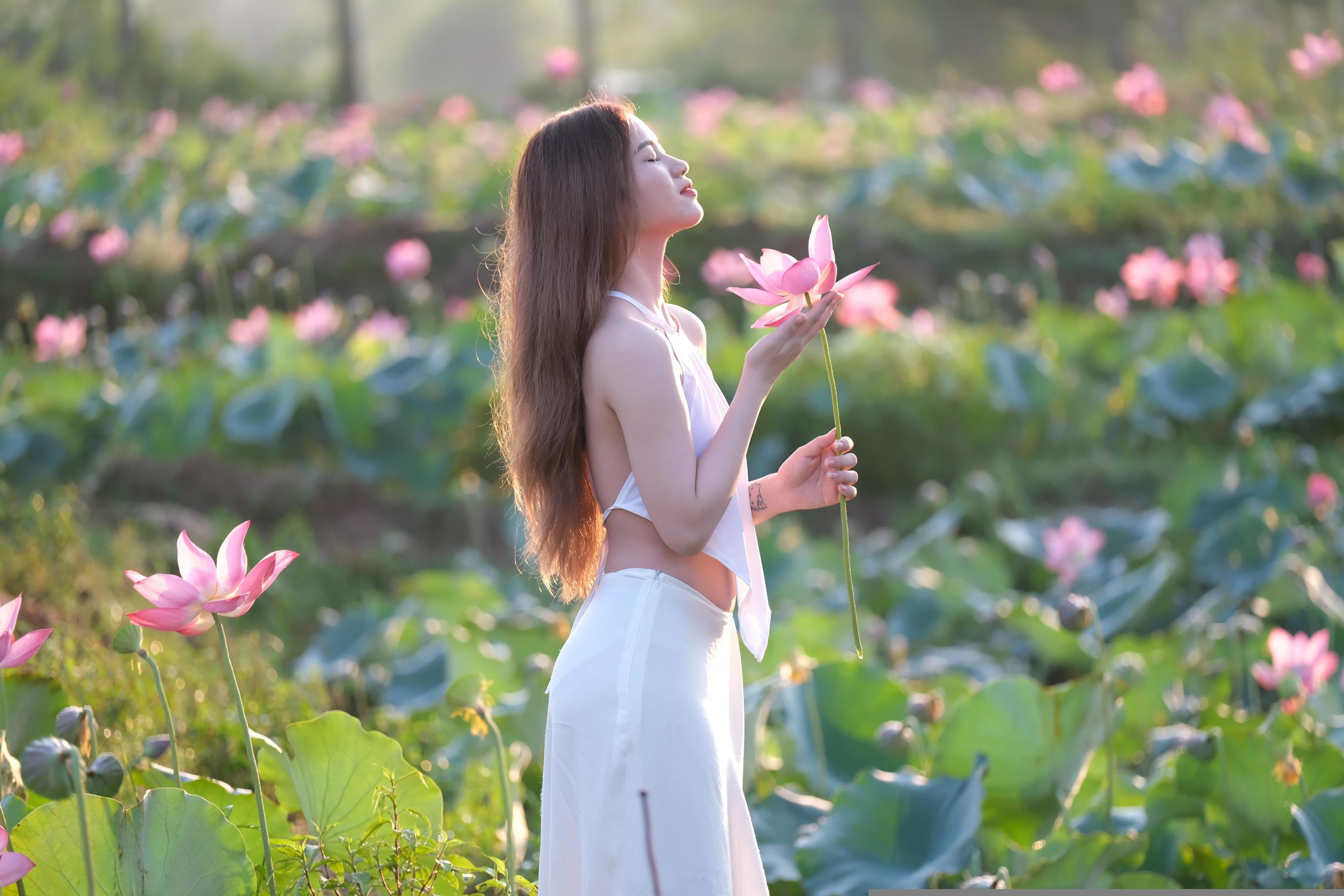 Flor de loto, una planta acuática en las manos de una mujer