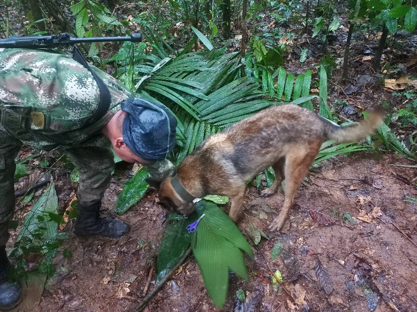 Un soldado rastrea el territorio con un perro.