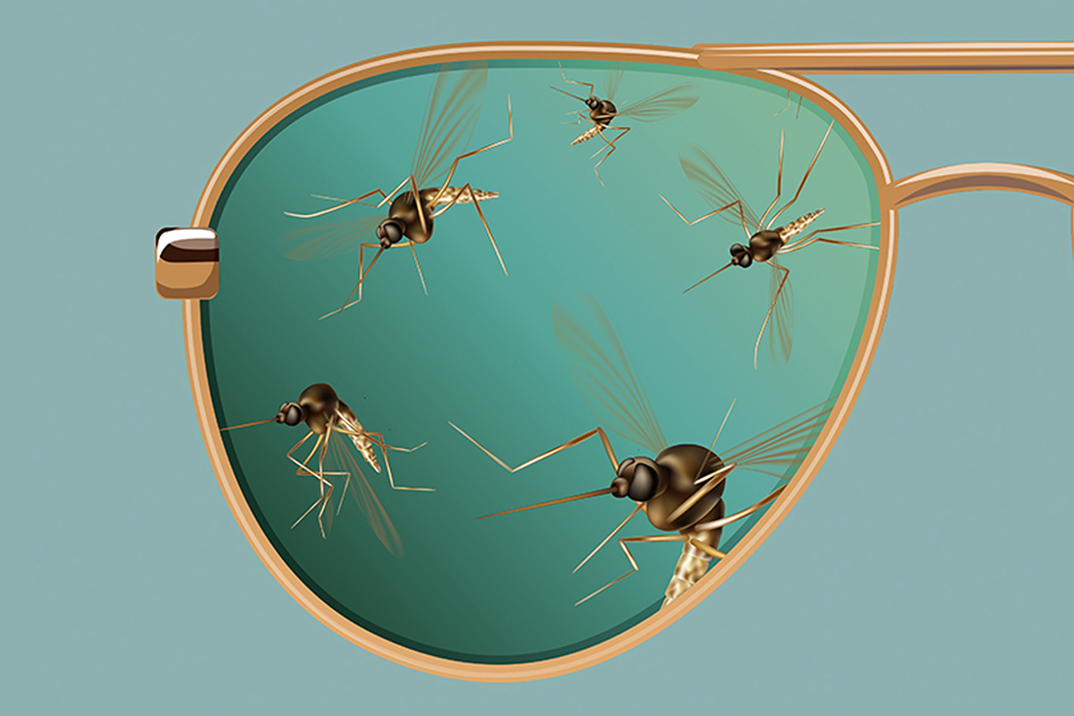 Why do we already suffer from mosquito bites before the arrival of summer?