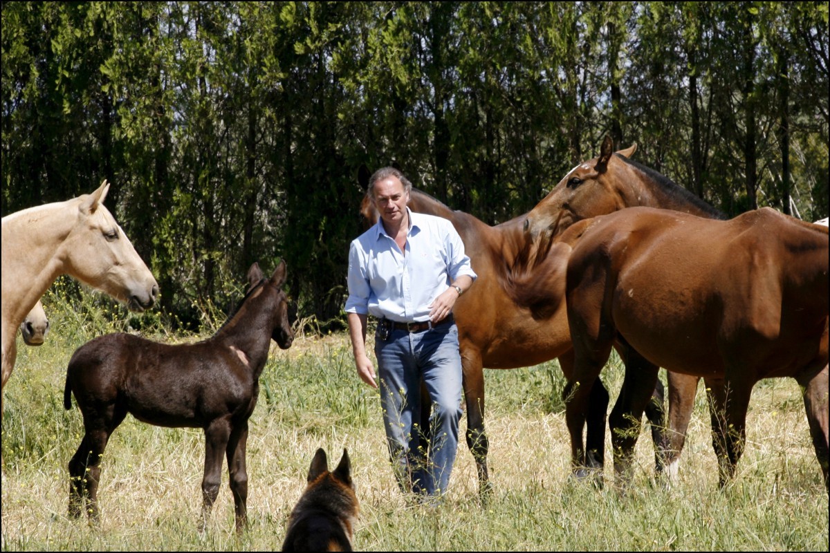 Osborne, en su finca rodeado de caballos.