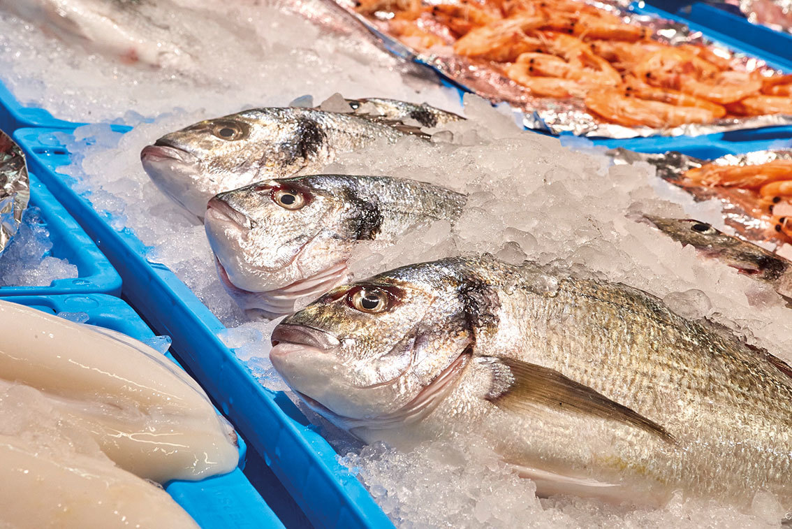 El pescado es una de las principales fuentes de minerales como el zinc o el fósforo, y de vitamina A, B12 y ácido fólico.