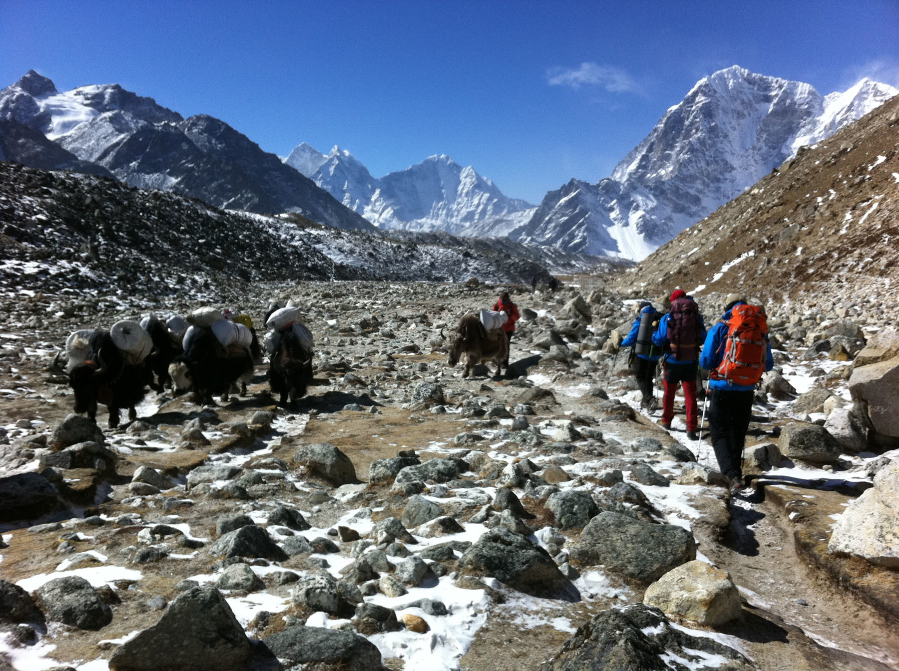 Un grupo de porteadores marcha hacia el campo base del Everest, cargados con enseres de la Expedición BBVA-Carlos Soria Annapurna en 2012