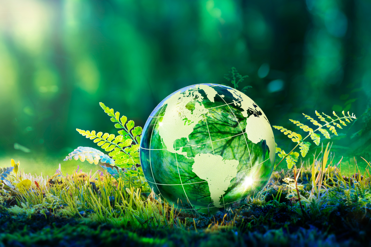Mundo Sostenible: las empresas buscan el impacto positivo en el medio ambiente y la sociedad