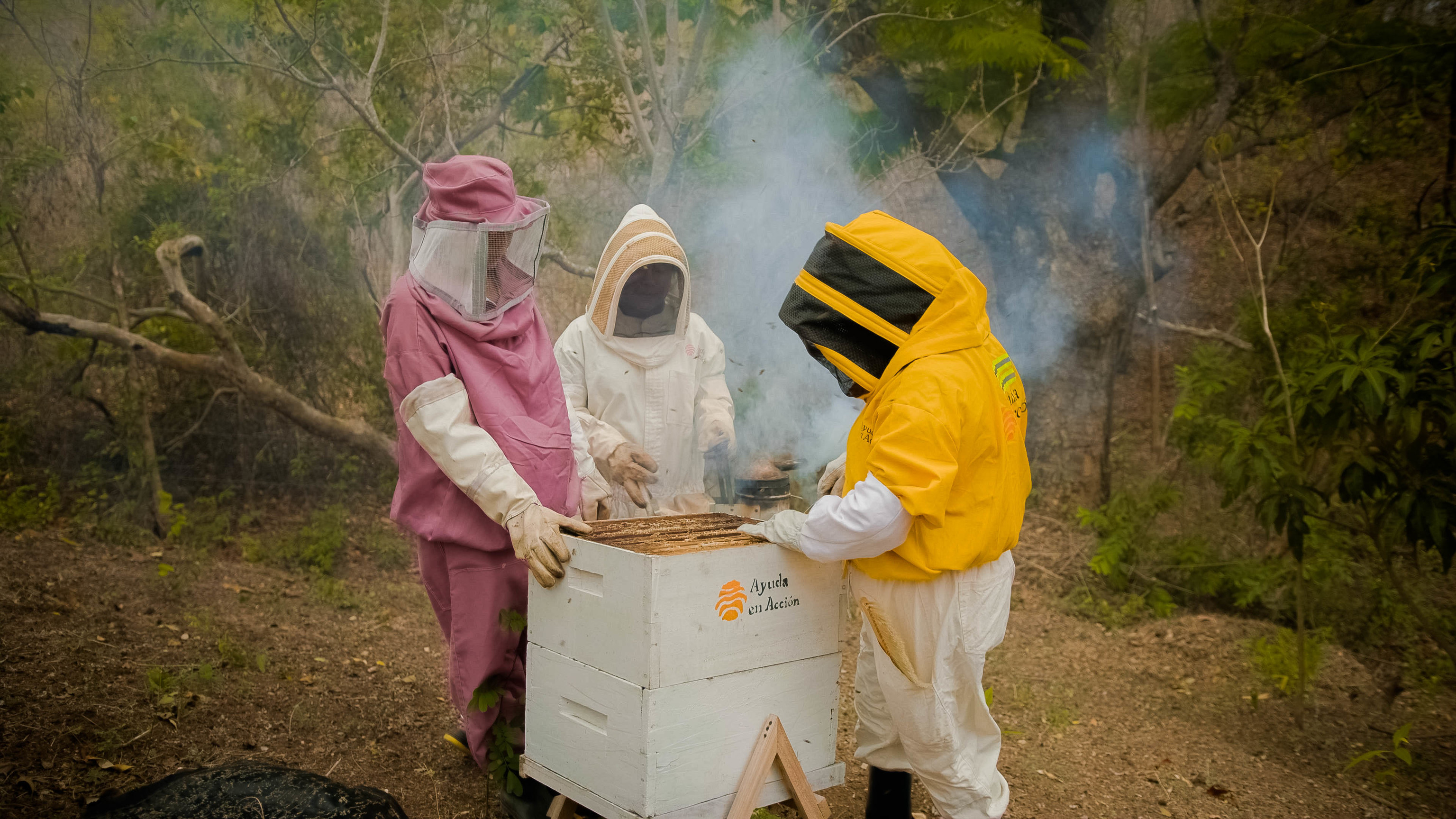 Las apicultoras, durante su jornada laboral.