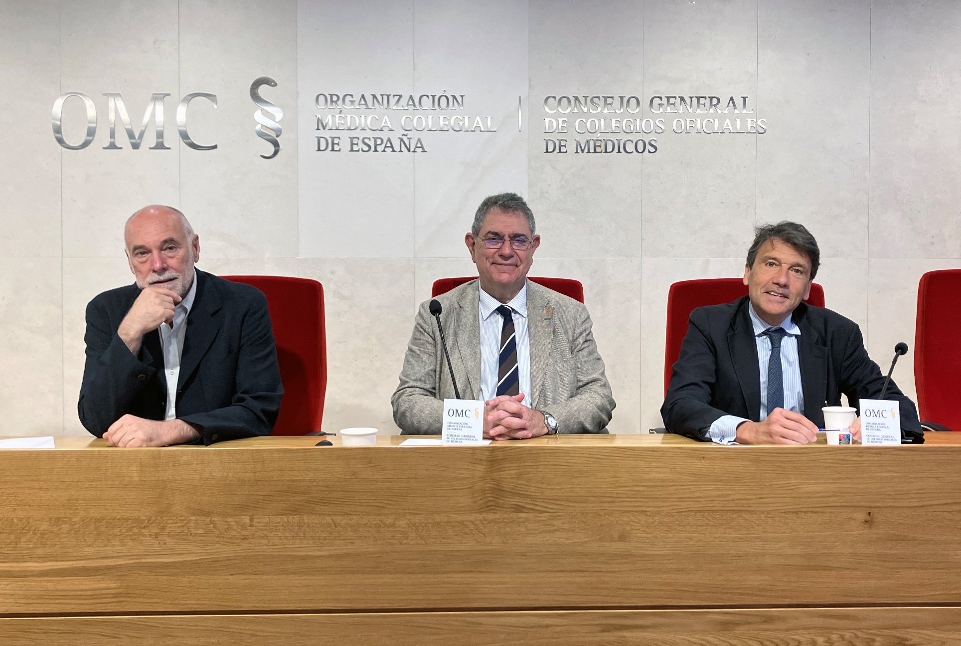Los psiquiatras Vctor Martn, Manuel Martn y Celso Arango, durante la presentacin del Libro Blanco ante la prensa.