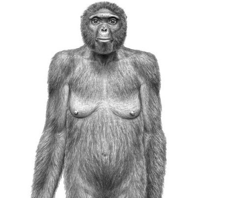 Recreación de 'Ardi', el ancestro de hace 4,4 millones de años que descubrió Tim White