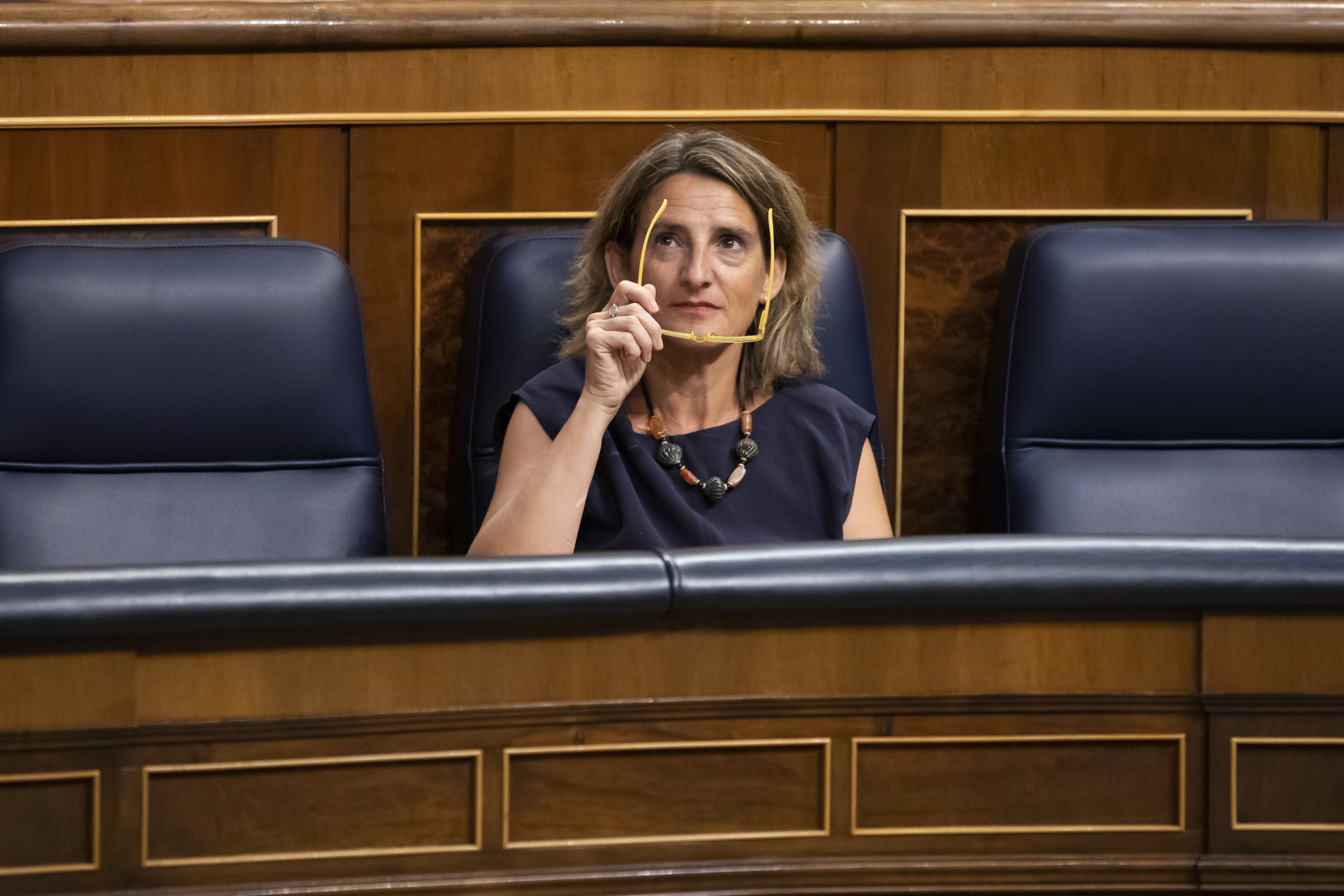 Teresa Ribera, ministra de Transici