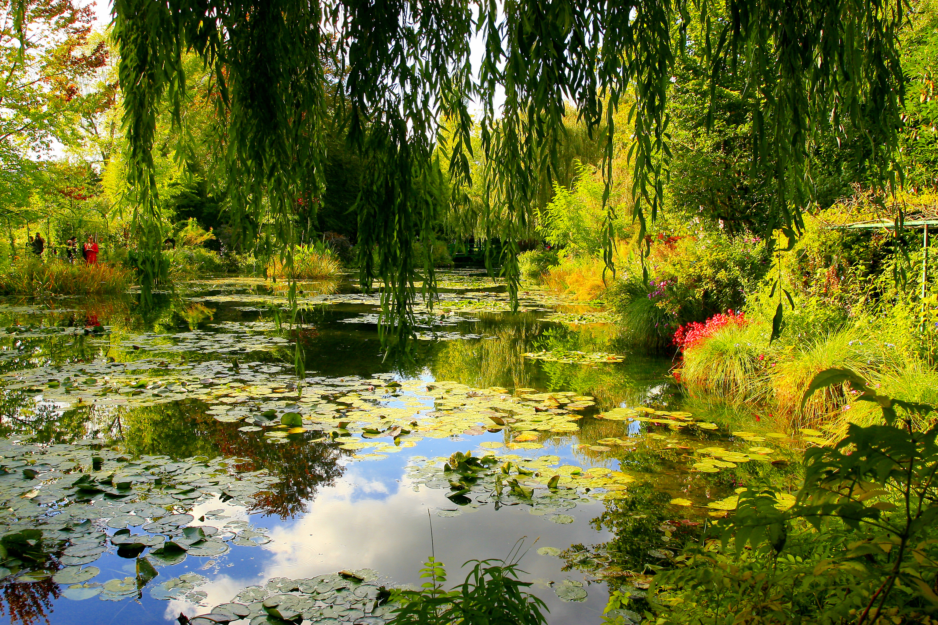 El jardín de Claude Monet en Giverny, Francia.