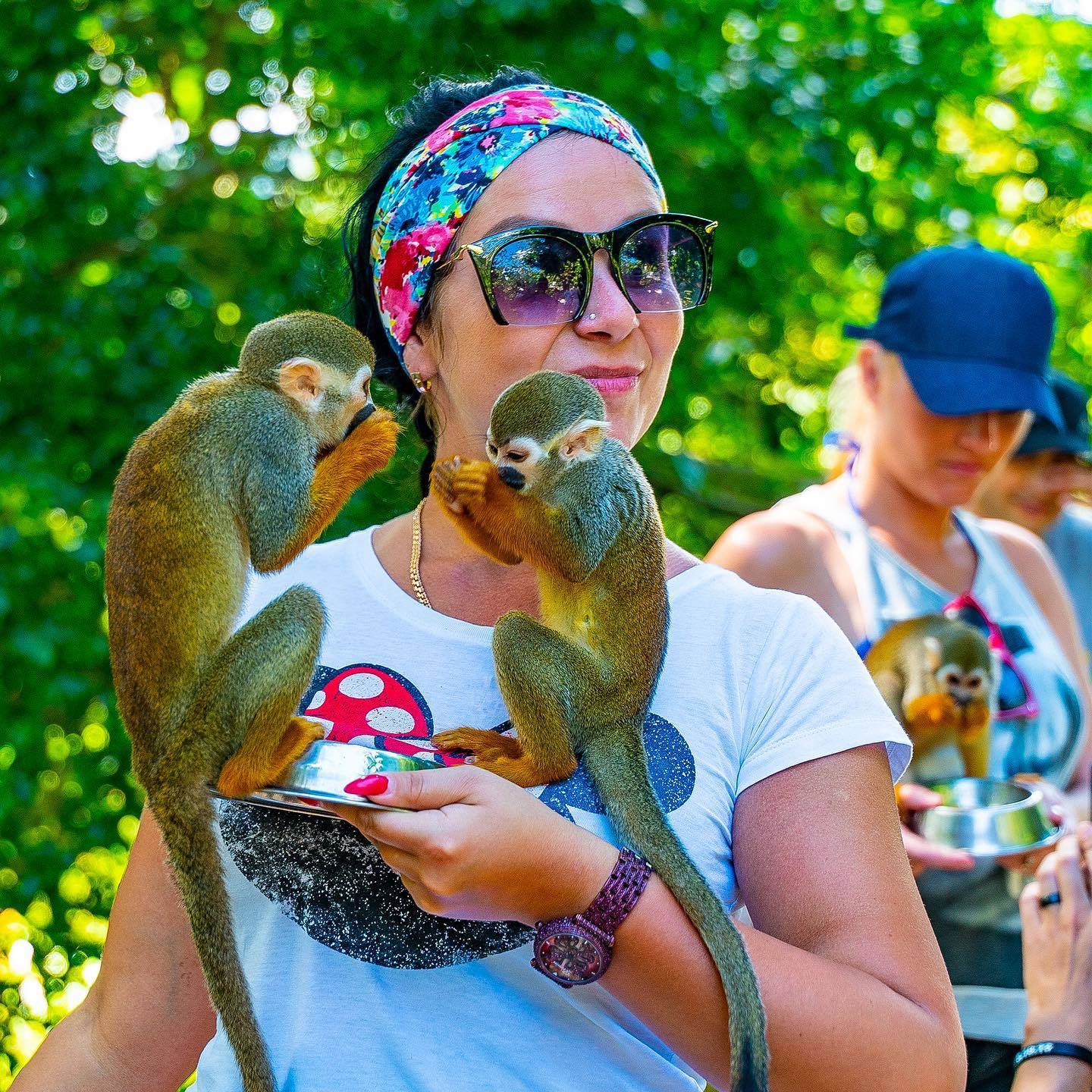 Una turista juguetea con monos en Monkeyland.