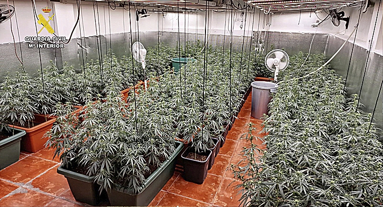 Cultivo de interior de marihuana, descubierto por la Guardia Civil.