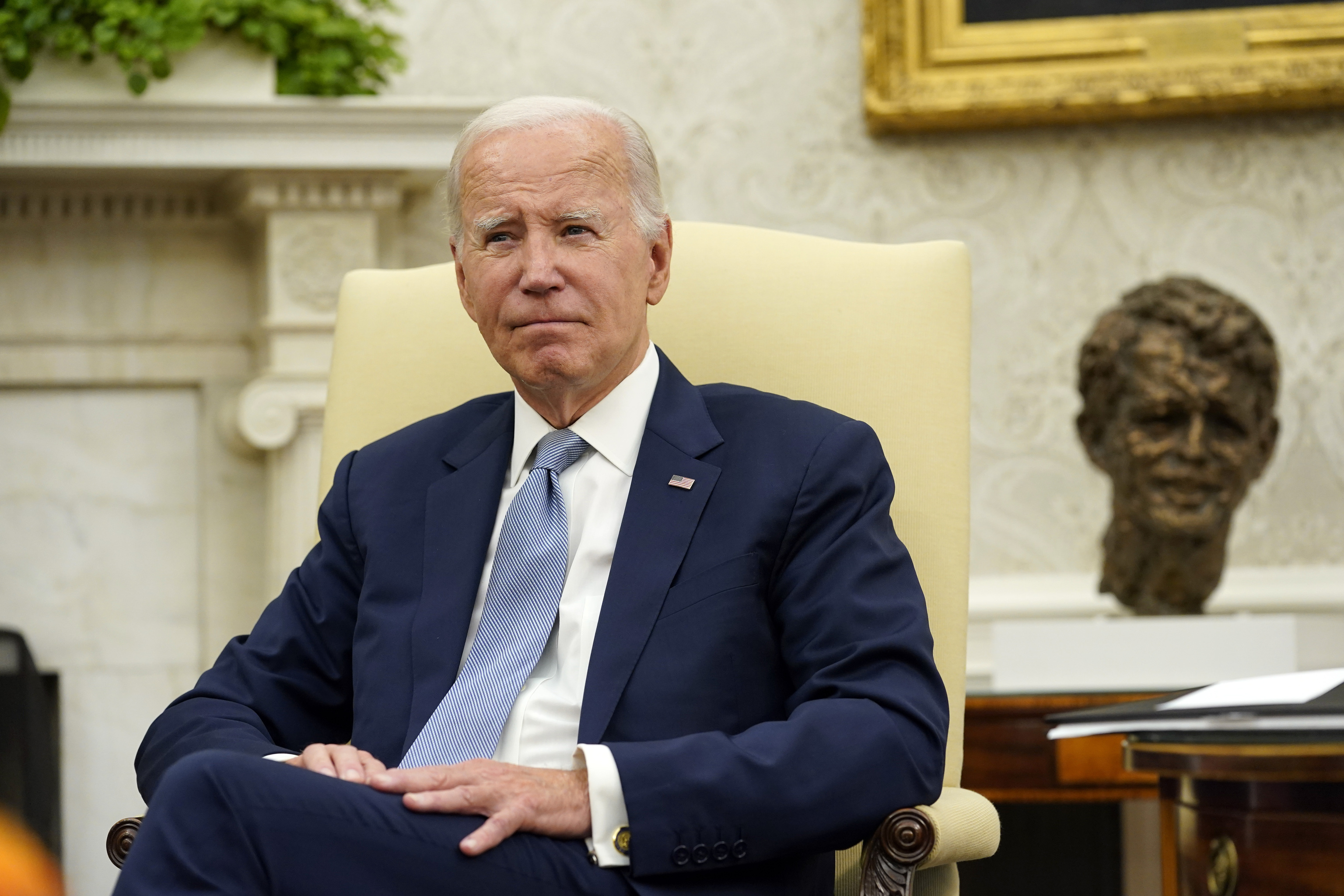 Joe Biden, Presidente de Estados Unidos