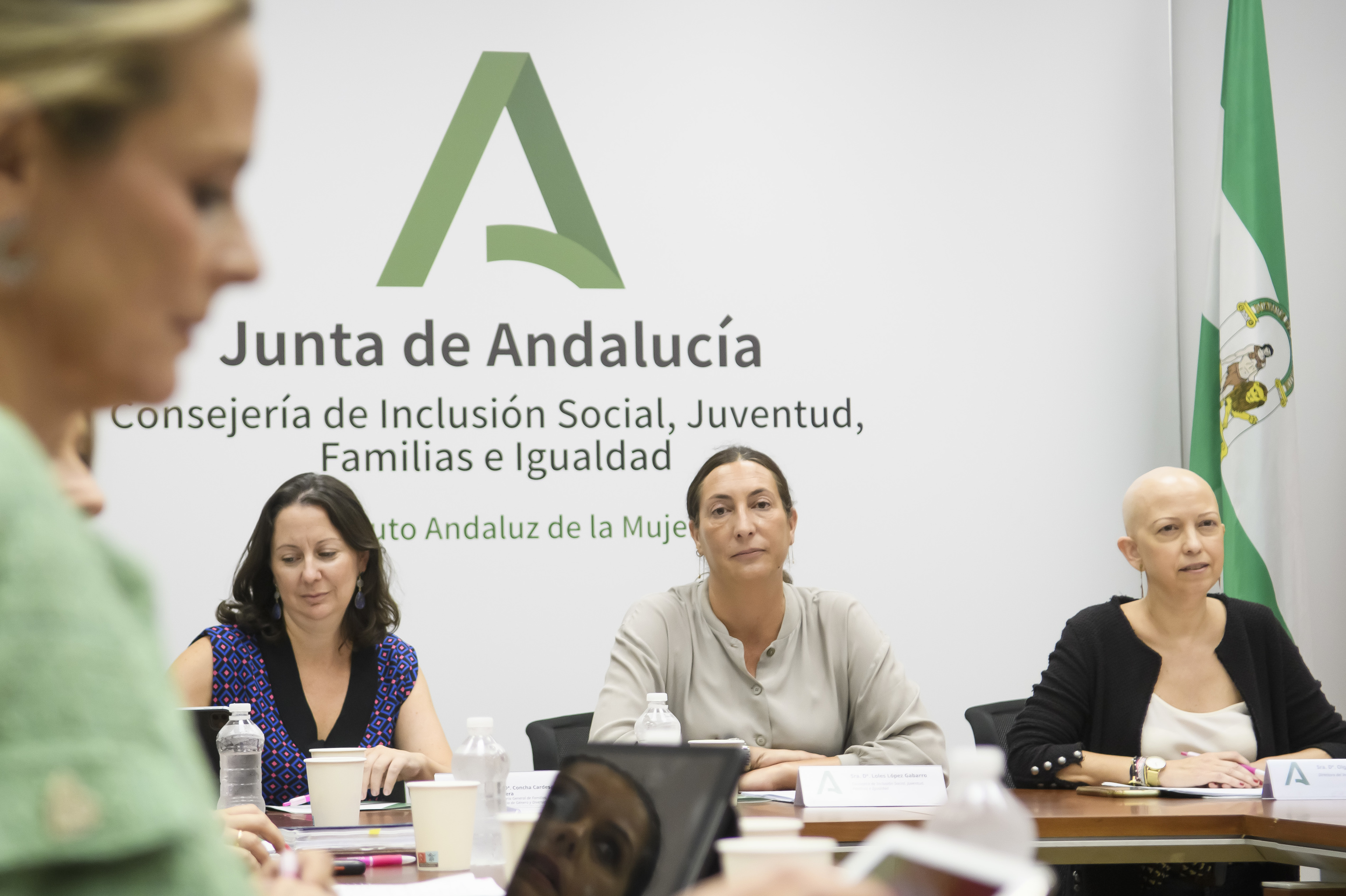 La consejera de Inclusin Social e Igualdad, Loles Lpez, durante la reunin con las comisiones provinciales de seguimiento contra la Violencia de Gnero del Instituto Andaluz de la Mujer (IAM).