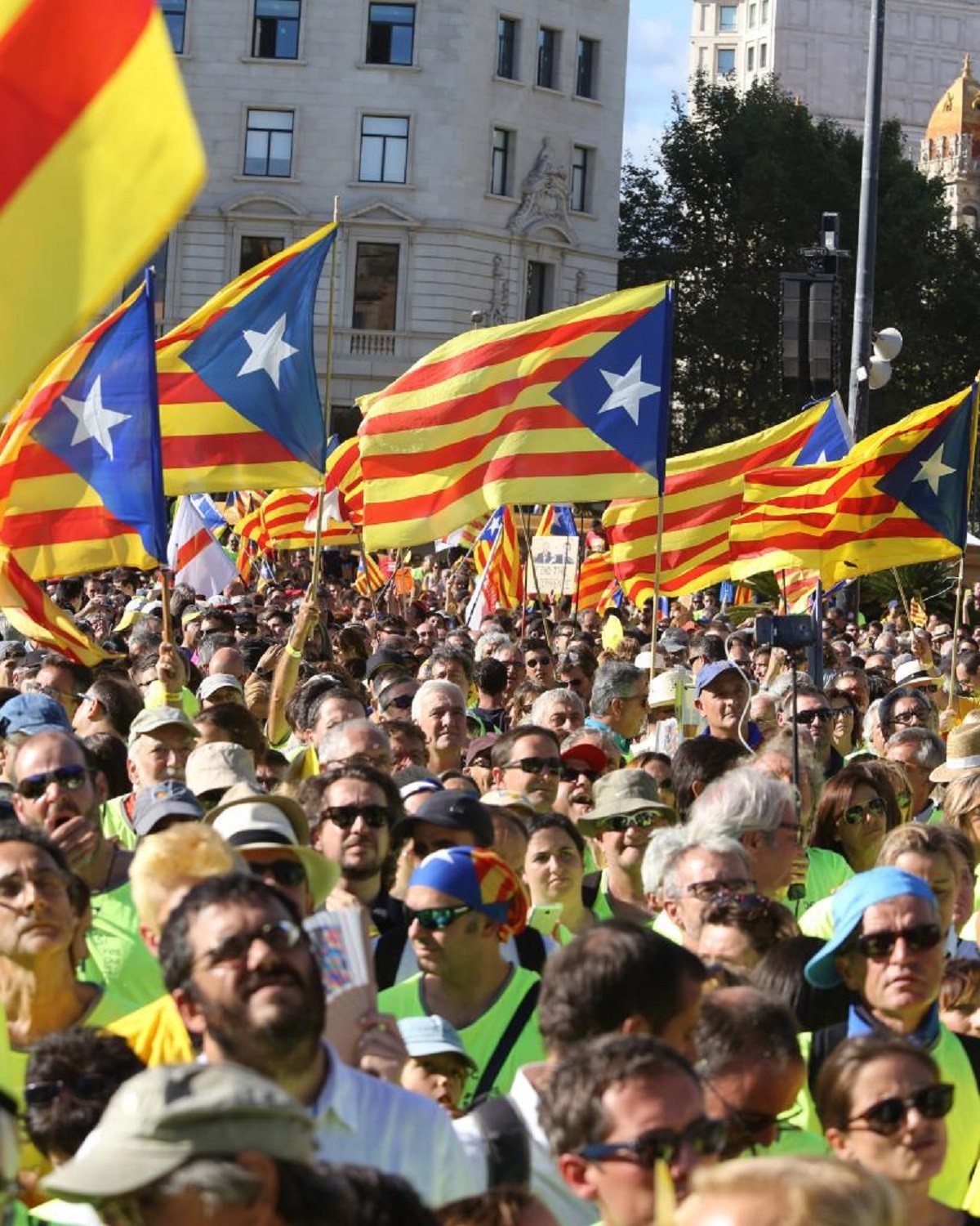 Manifestacin de una Diada en Barcelona