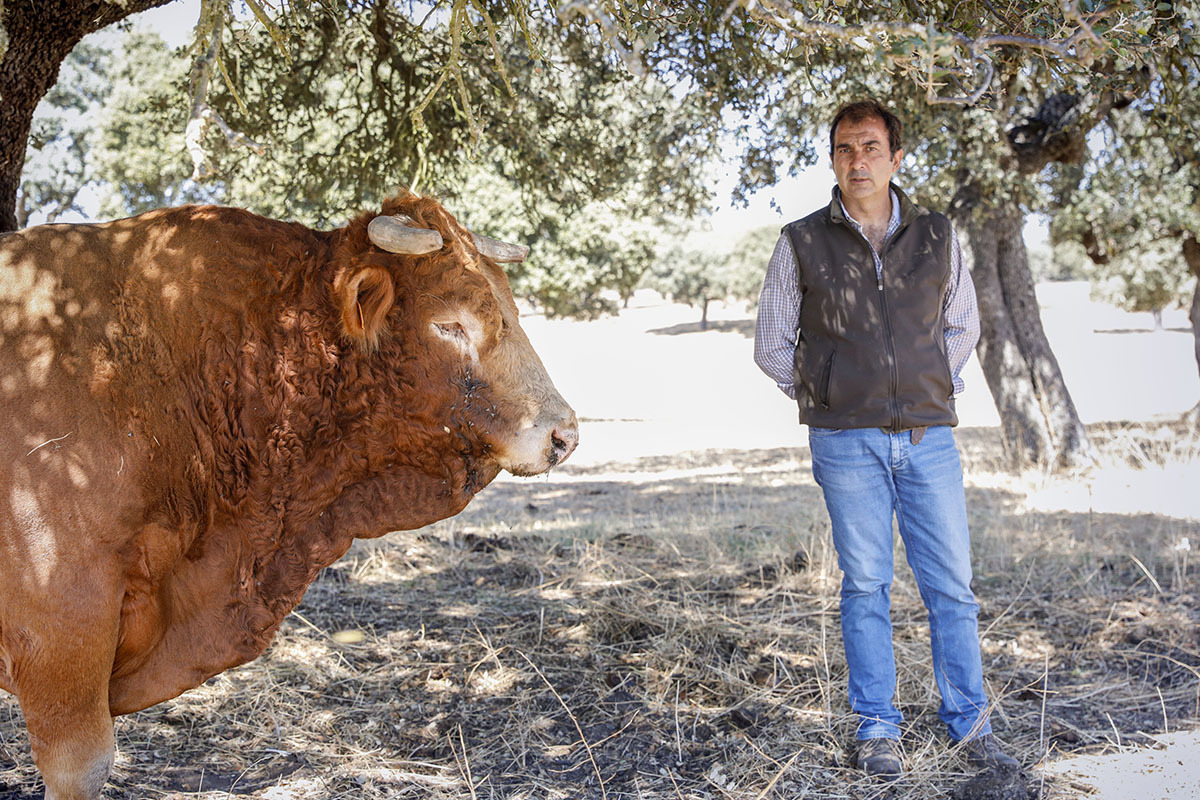 Ricardo con uno de los toros afectados por la EHE. Durante la foto le habla para mantenerlo calmado y que no lo ataque.