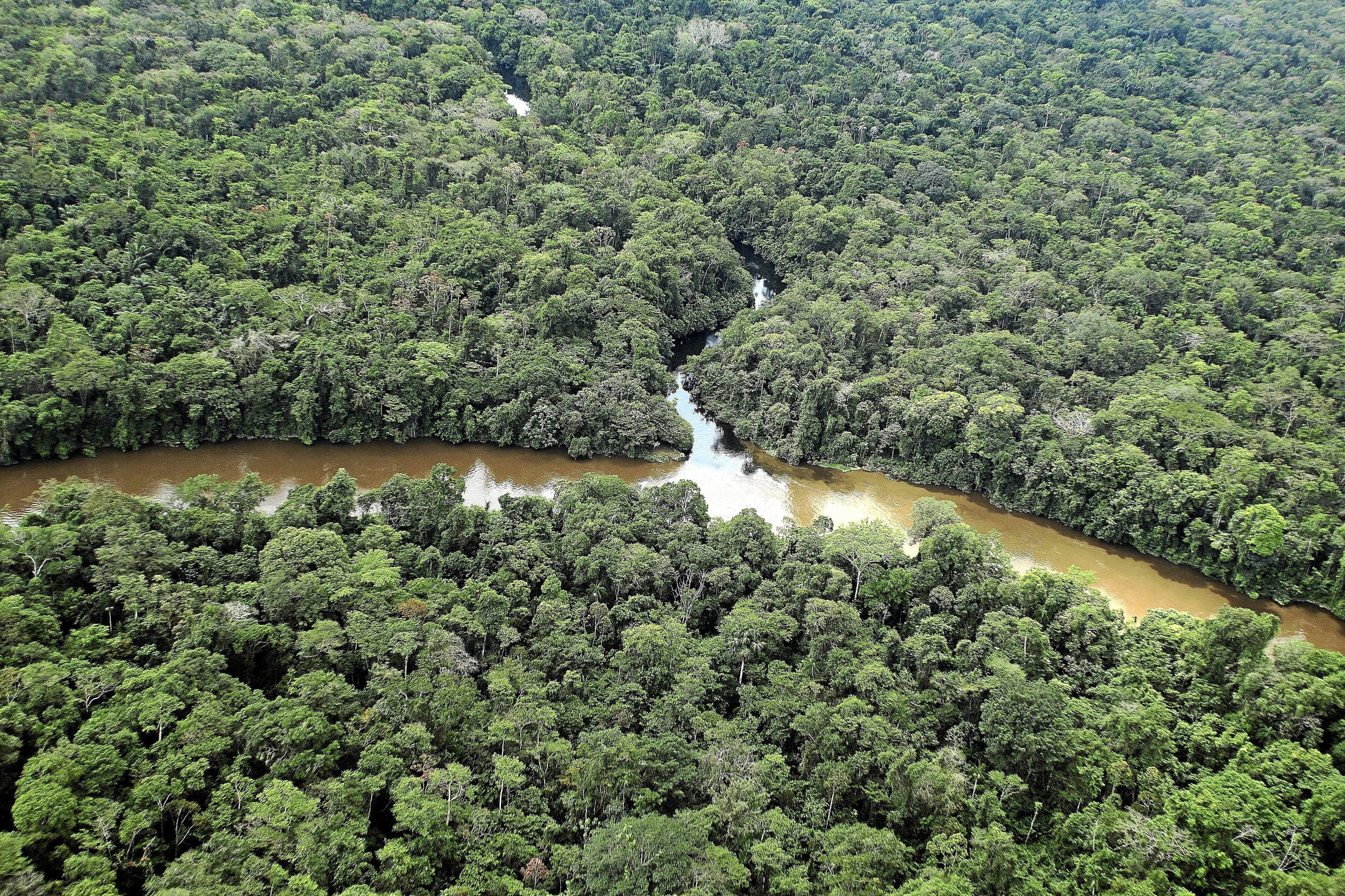 14 muertos al estrellarse un avión en el Amazonas