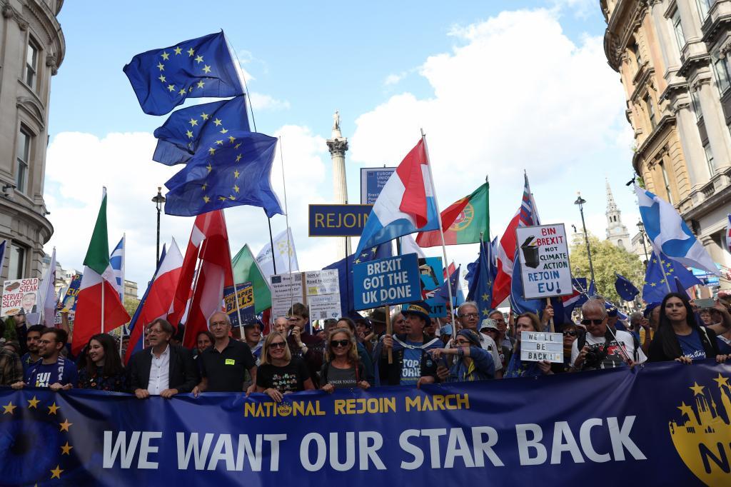 Miles de británicos se manifiestan en Londres contra el Brexit: «¡Volveremos a la Unión Europea!»
