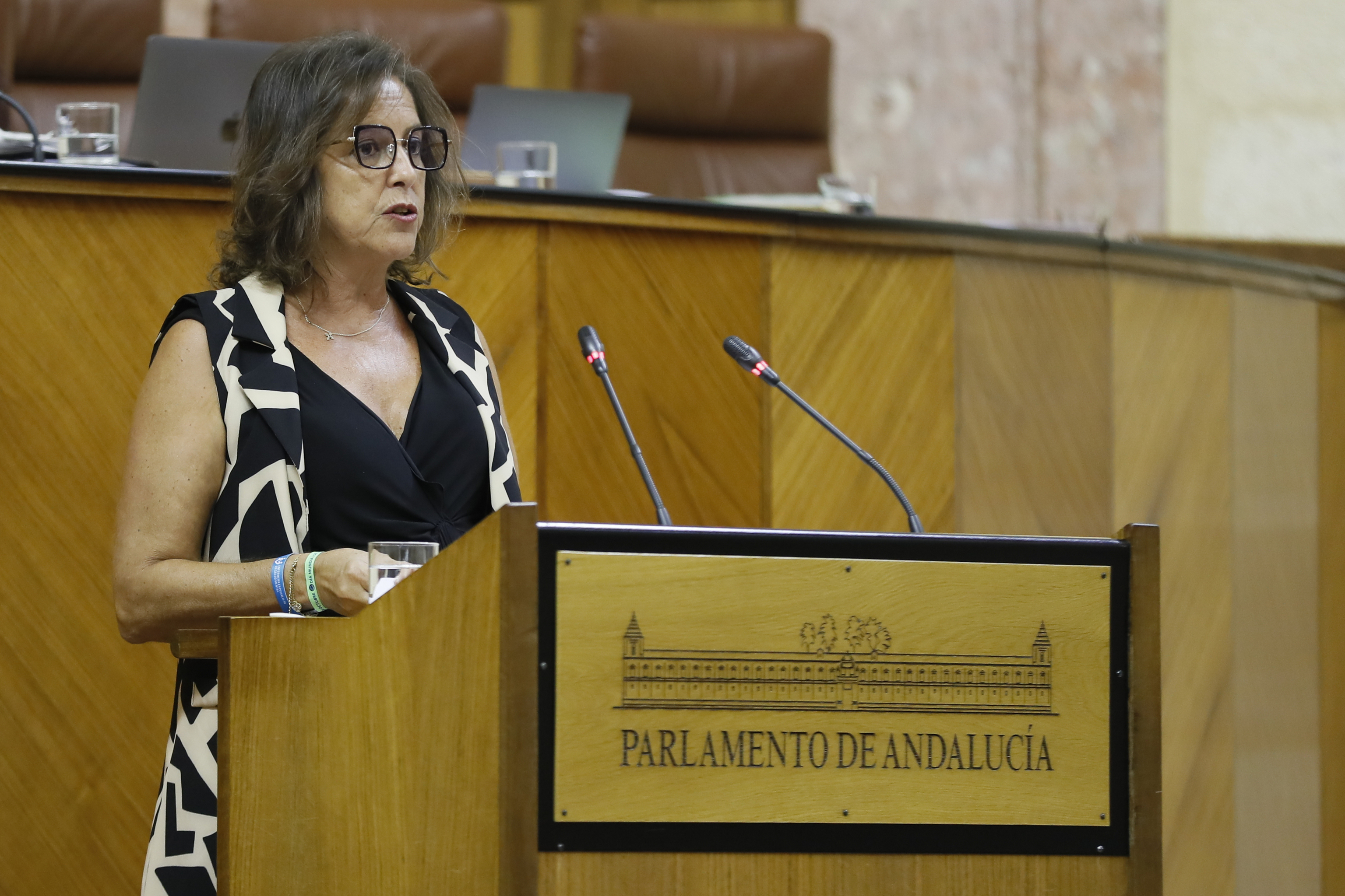 La consejera Catalina Garca, este martes en el pleno del Parlamento andaluz.