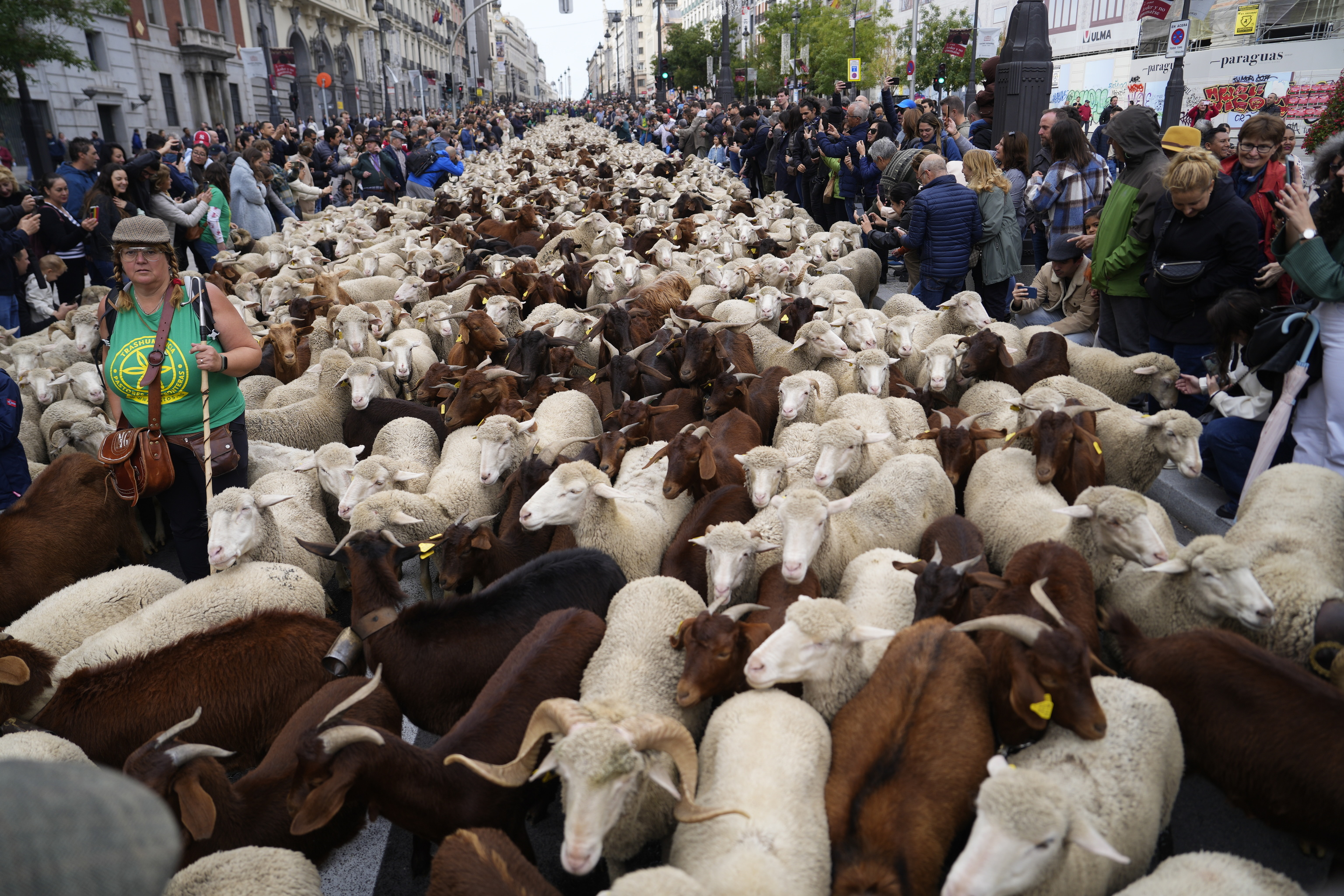 Marity, la mujer que ha pastoreado por primera vez el ganado por las calles de Madrid.