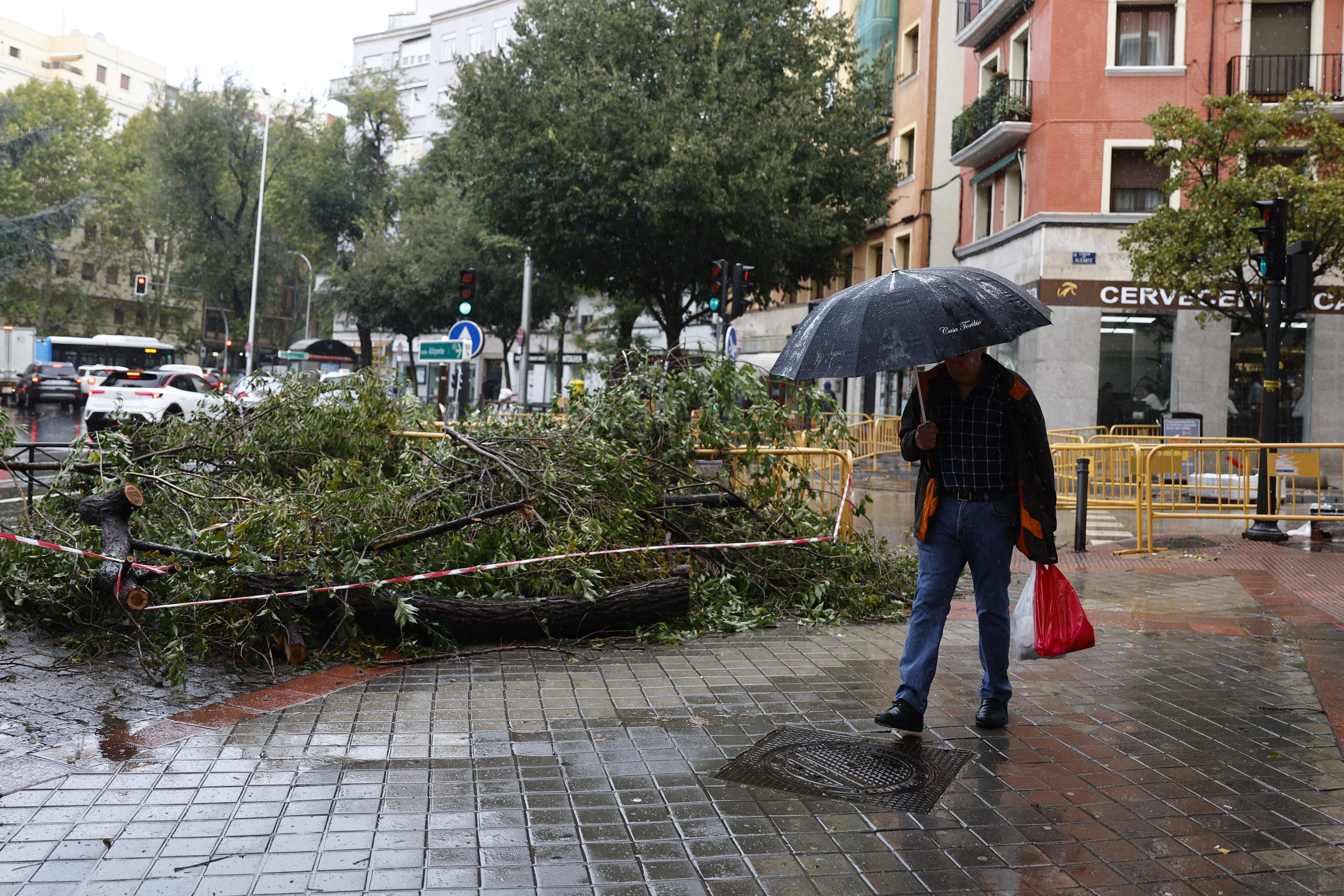 Un precinto rodea las ramas caídas en la calle Alicante con Embajadores.