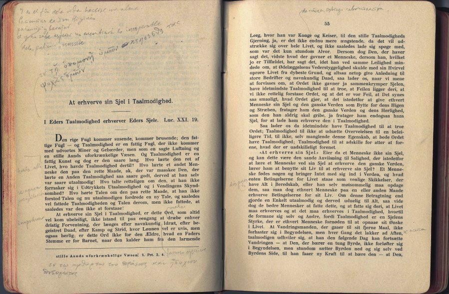 Imagen de anotaciones manuscritas de Unamuno en las obras completas de Kierkegaard.