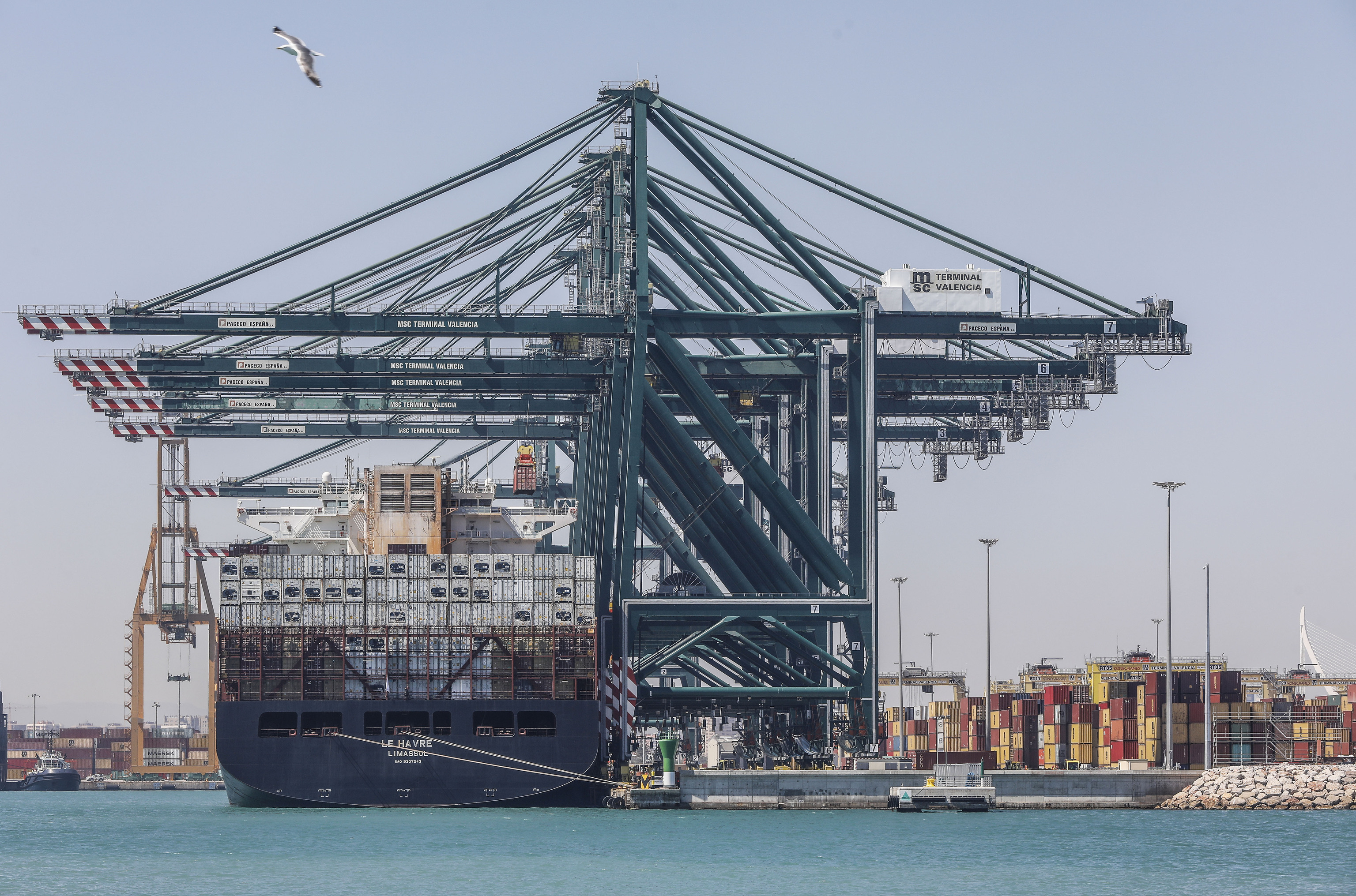 El portacontenedores MSC a su llegada al puerto de Valencia tras el bloqueo del Canal de Suez