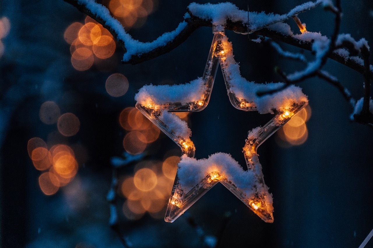 Estrellas de Navidad en un árbol con nieve.