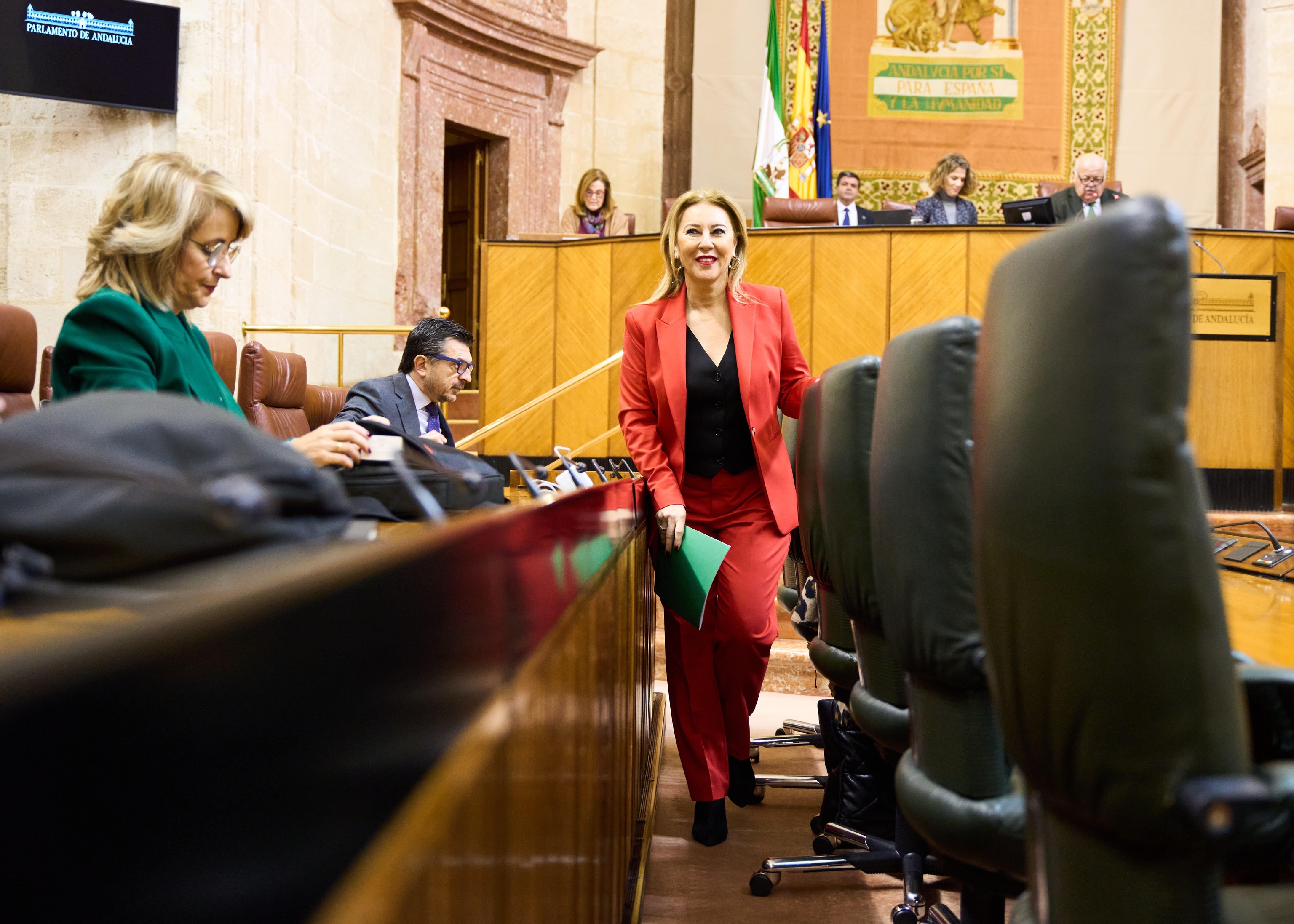 La consejera de Economa y Hacienda, Carolina Espaa, en el pleno del Parlamento donde aprobaron esta semana los presupuestos.