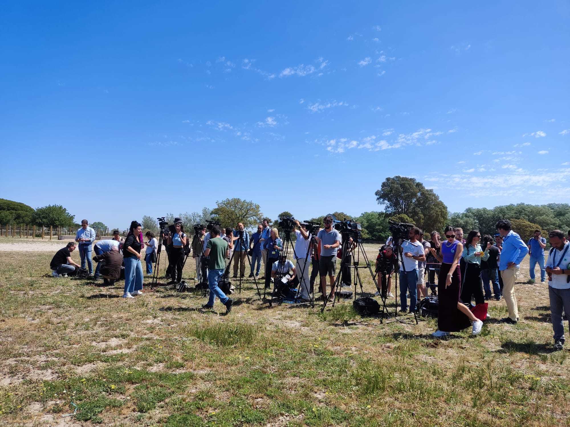 Foto de archivo de un grupo de periodistas que esperan la comparecencia de Pedro Snchez en el Parque Nacional de Doana.