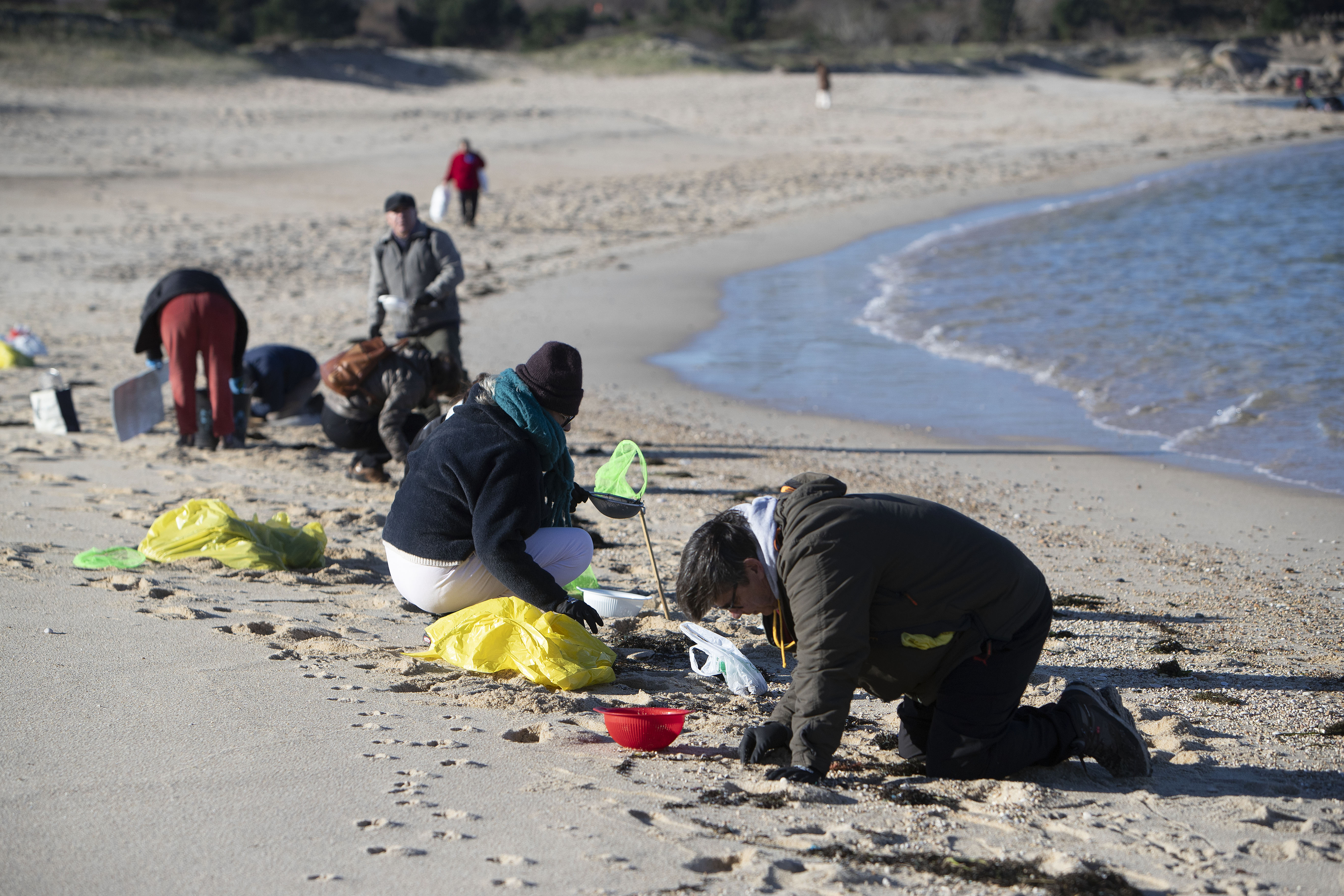 Voluntarios recogen microplsticos en la Playa de A Lanzada en O Grove.
