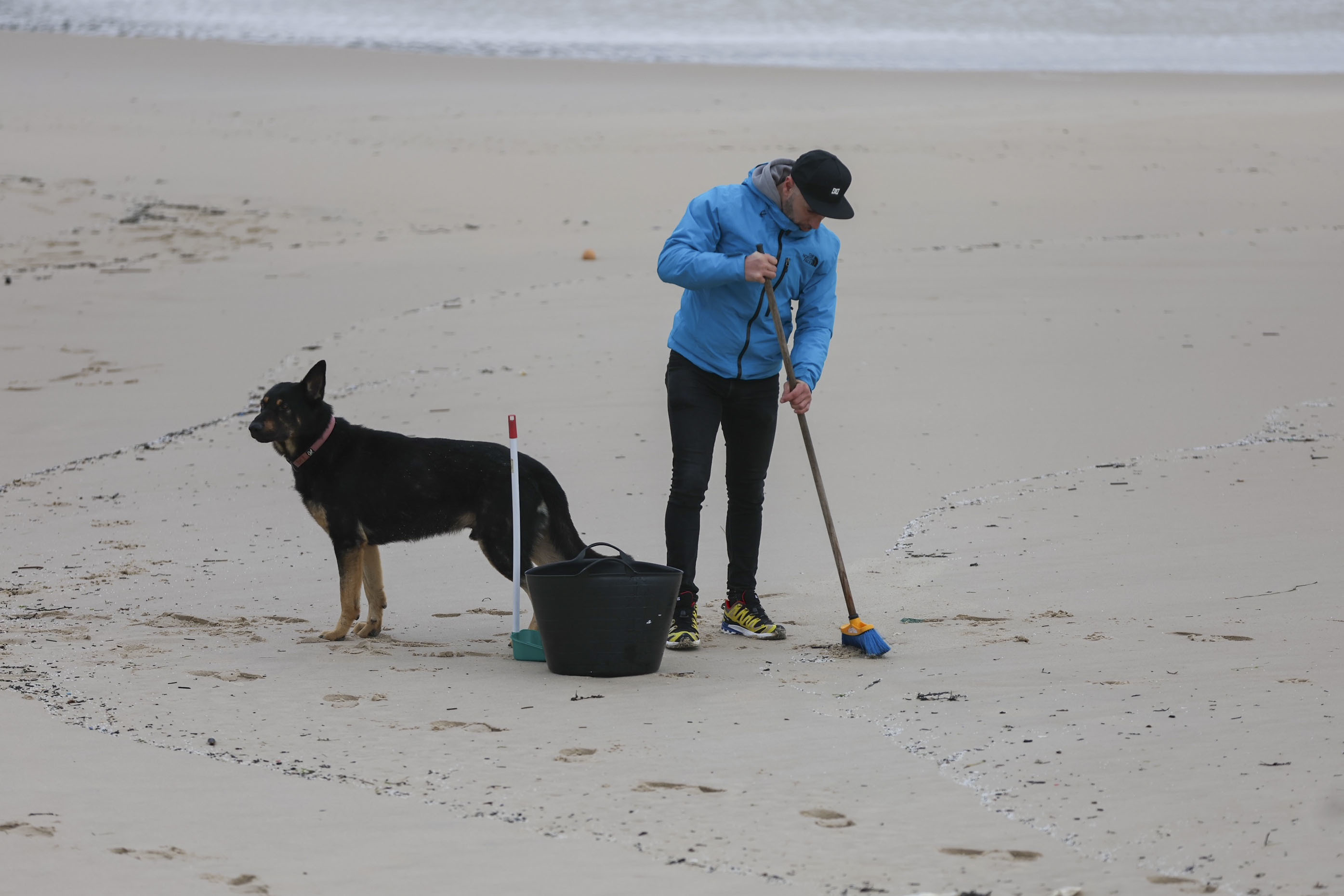 Greenpeace pide a los voluntarios que no lleven perros a las playas.