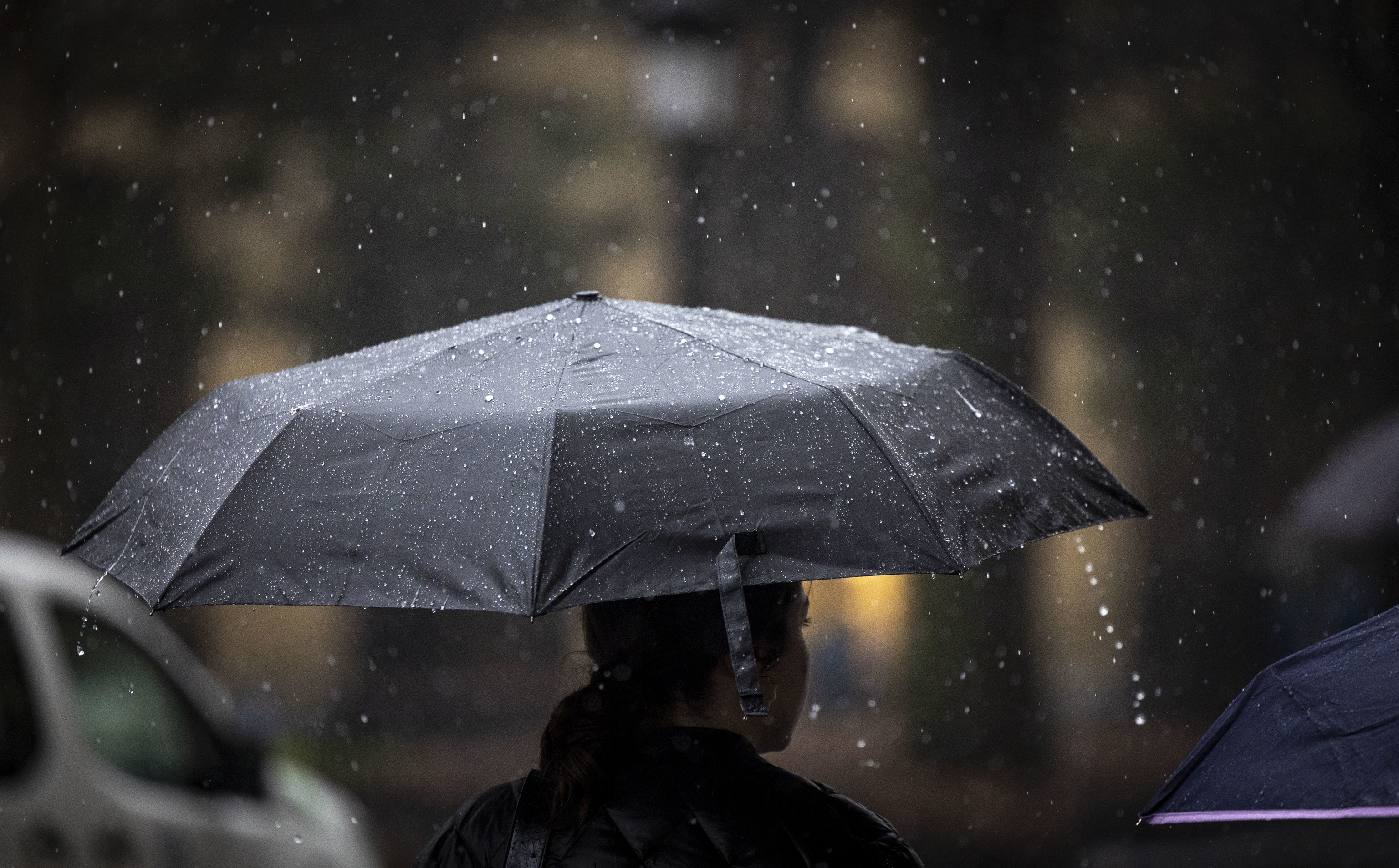 Una mujer camina bajo su paraguas en San Sebastin.