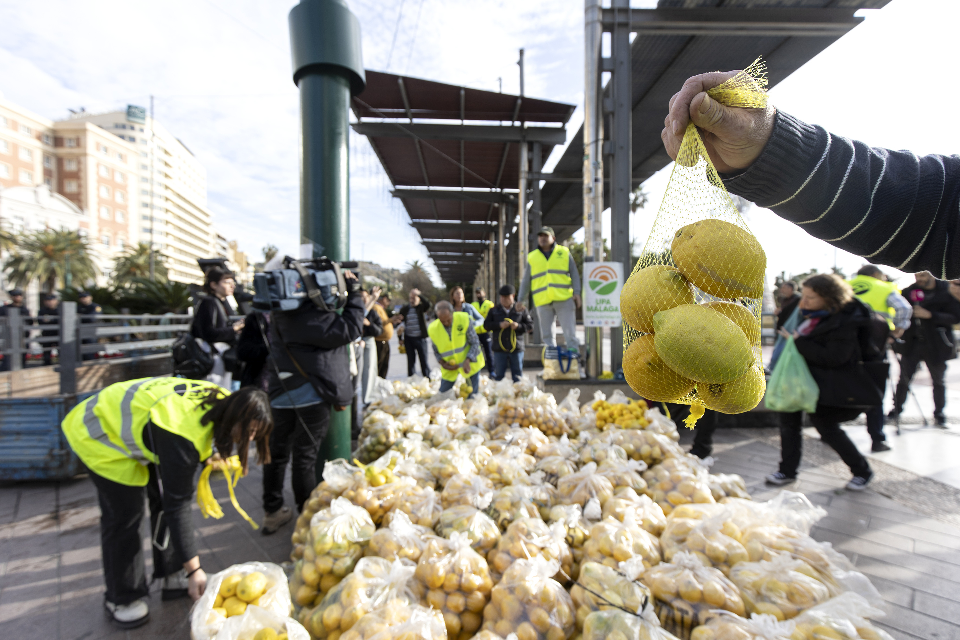 Ms de una docena de agricultores han repartido este jueves 3.000 kilos de limones.