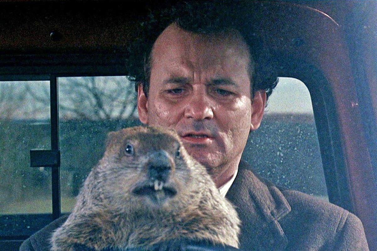 Bill Murray, junto a la marmota Phil, en un momento de la pelcula Atrapado en el tiempo.
