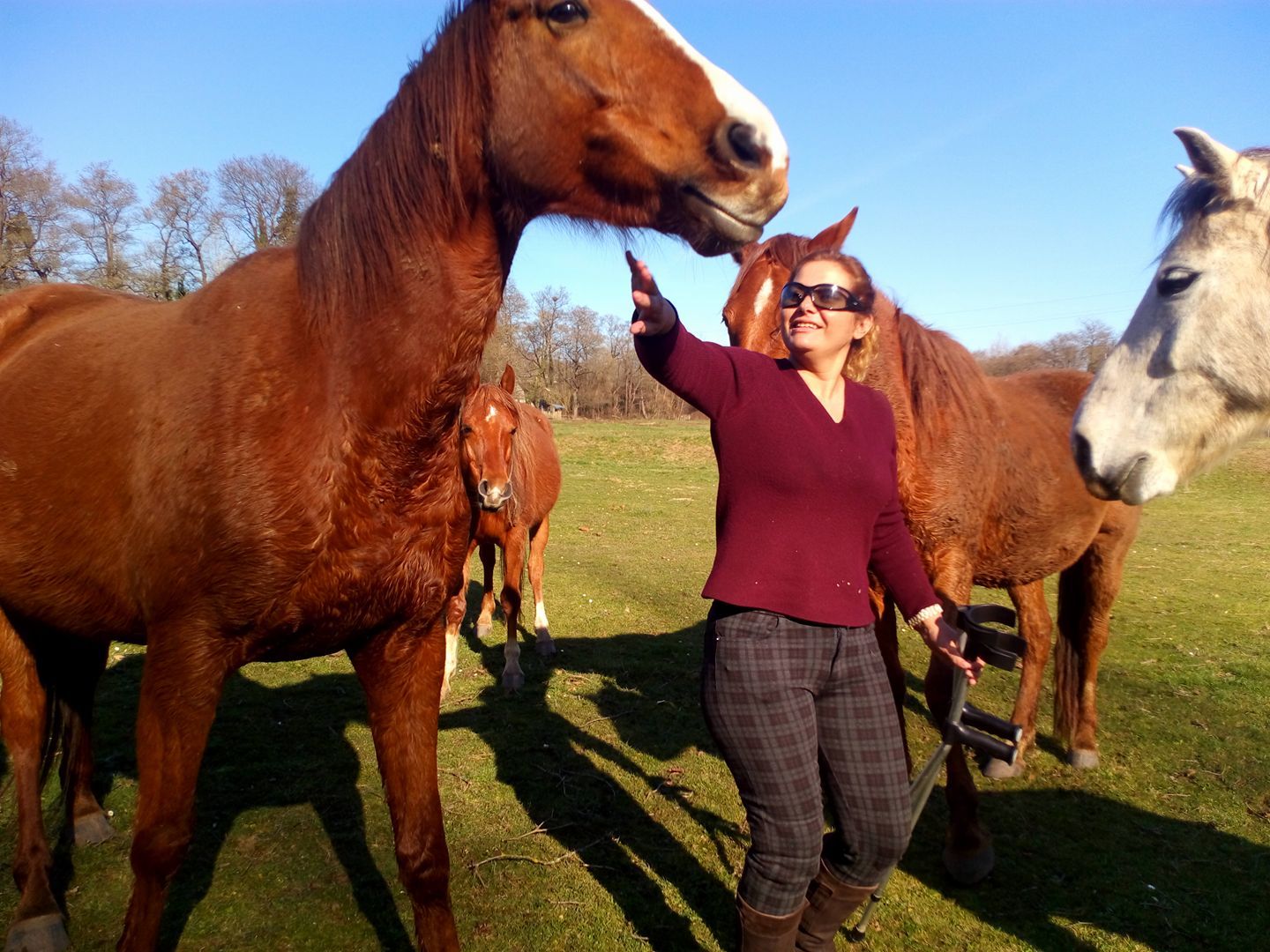 Lola Guzmn, con sus caballos.