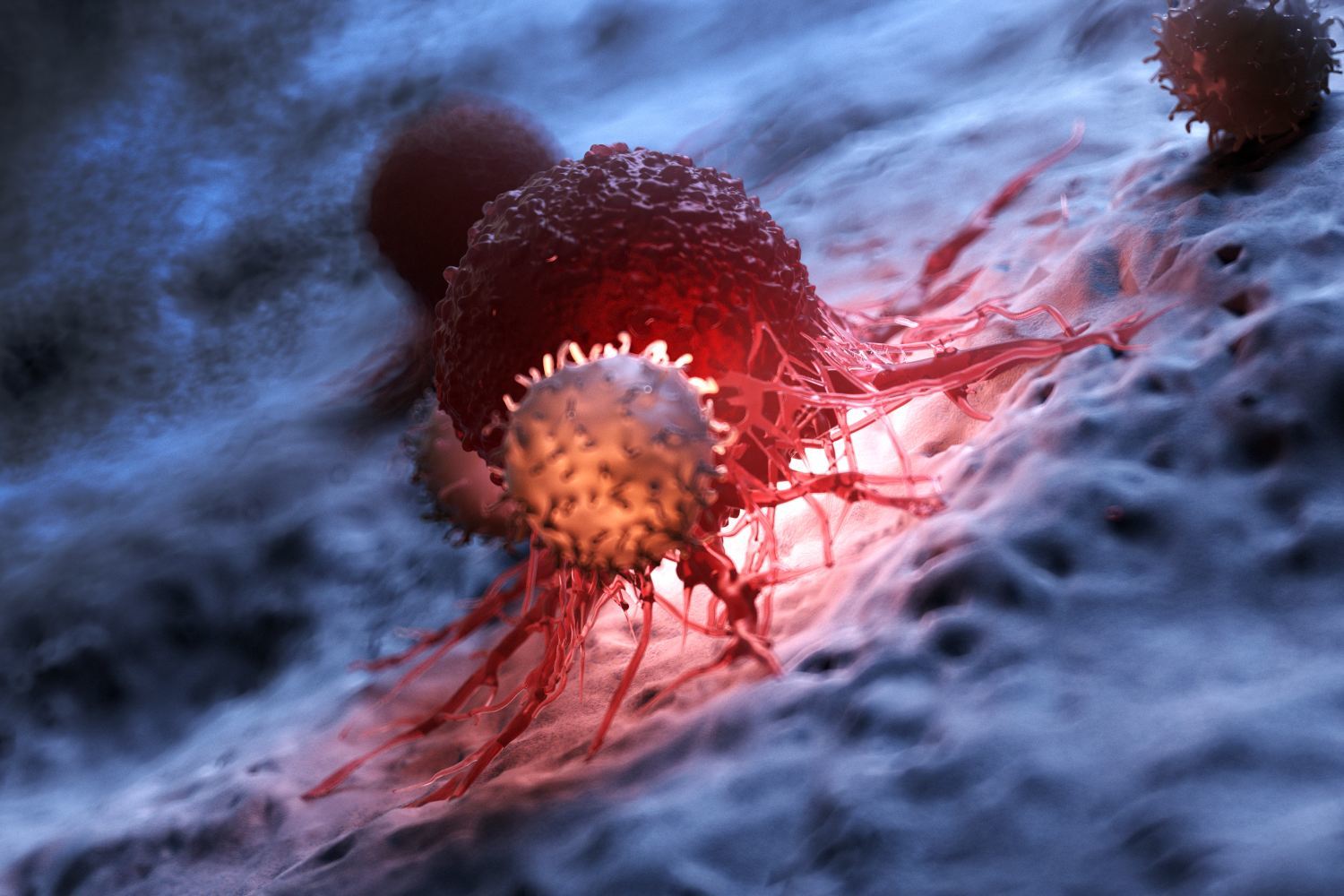 Recreación de cómo un linfocito T ataca un tumor.