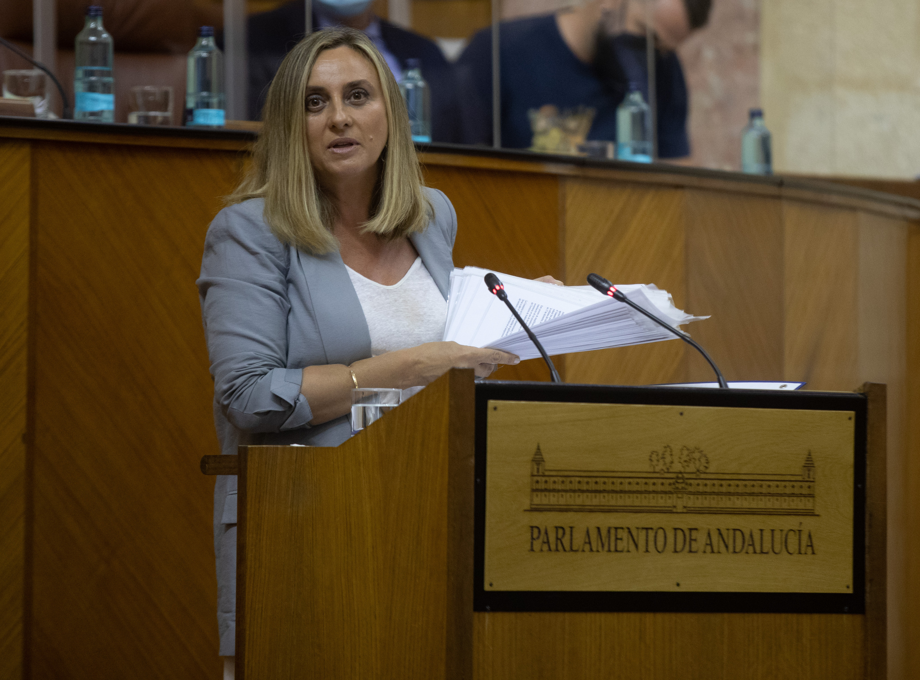 La ex consejera de Fomento Marifrn Carazo, durante el debate de la LISTA.
