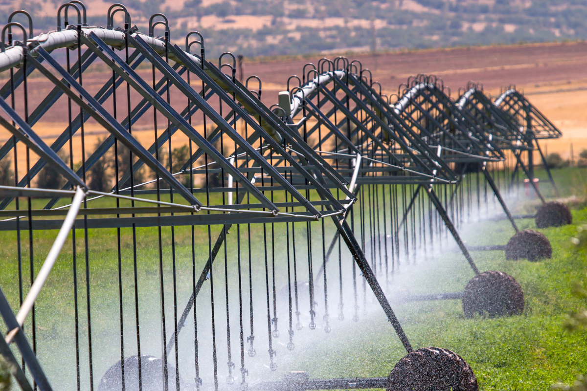 La tecnología facilita la fertirrigación, regar y fertilizar a la vez.