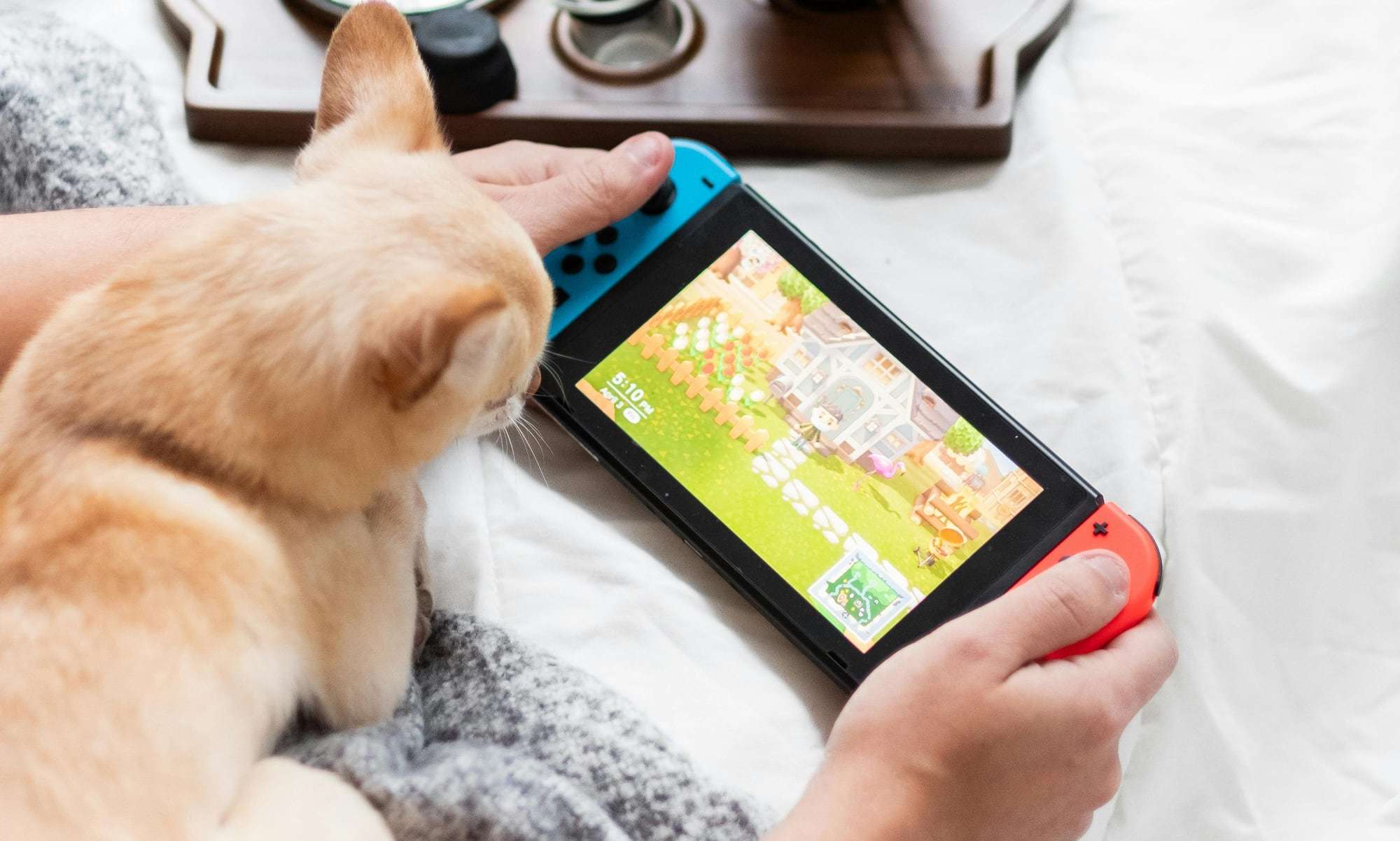 Una persona juega con su Nintendo Switch en presencia de su mascota.
