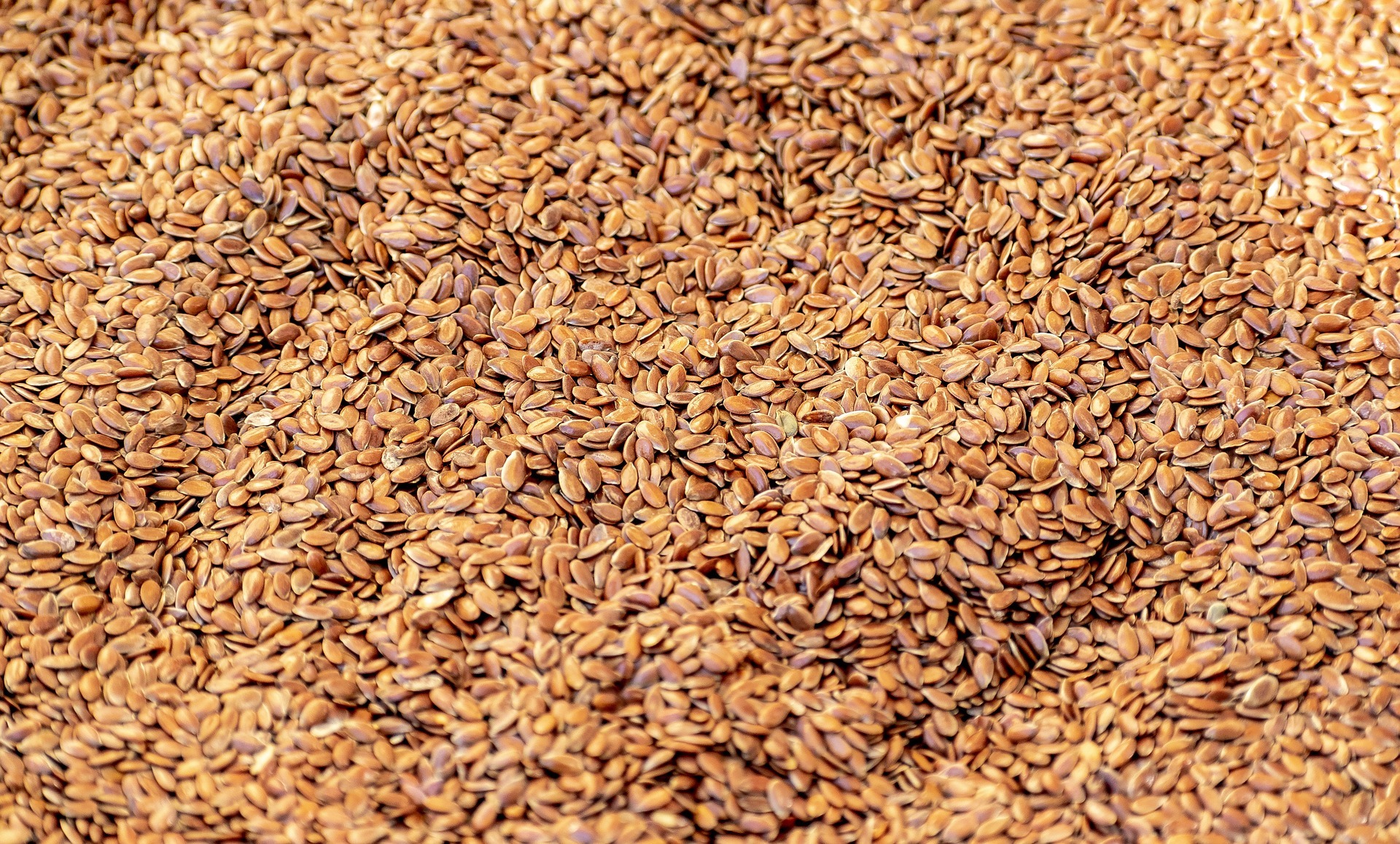 Alimentos que ayudan a tener ms energa: semillas