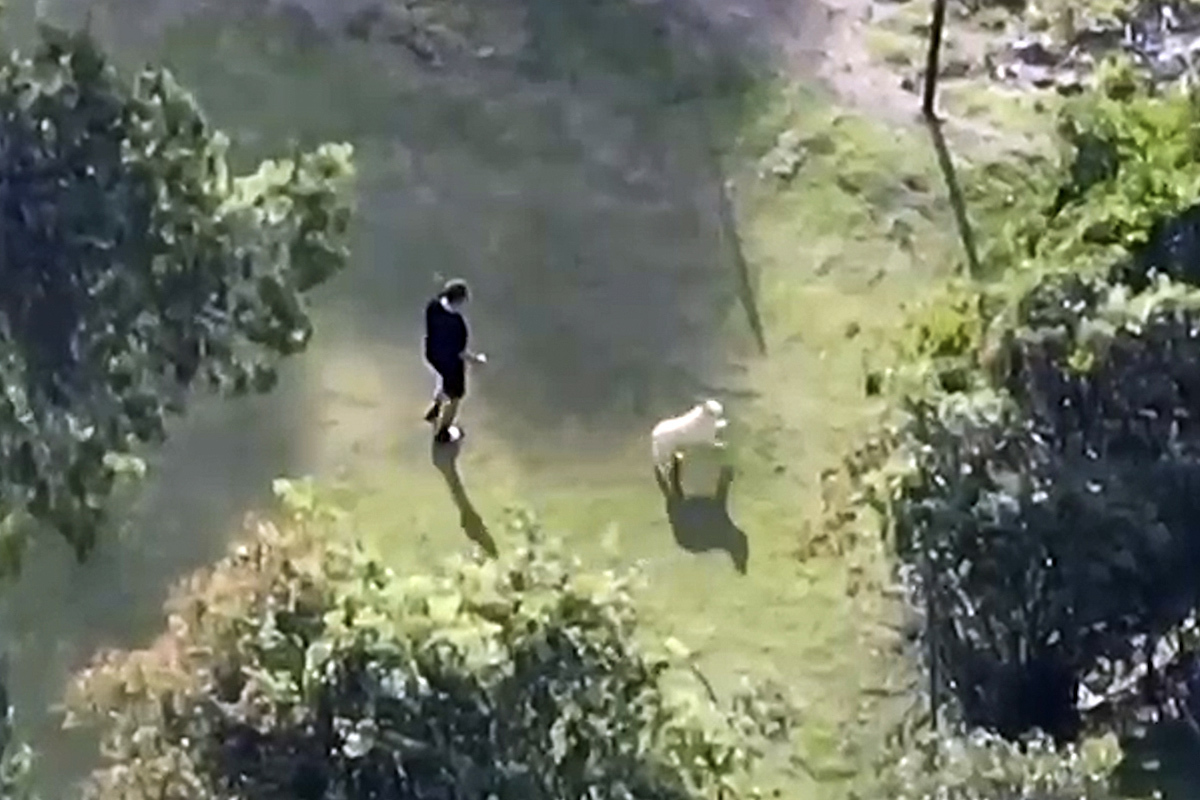 'El Zar', en una imagen area de dron, paseando junto a su perro por su finca.