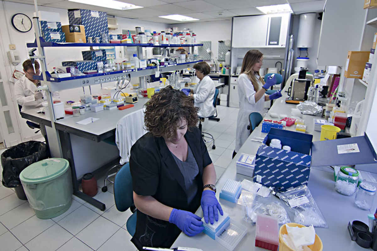 Investigadores en el laboratorio de Sistemtica Molecular del CSIC, en Madrid.