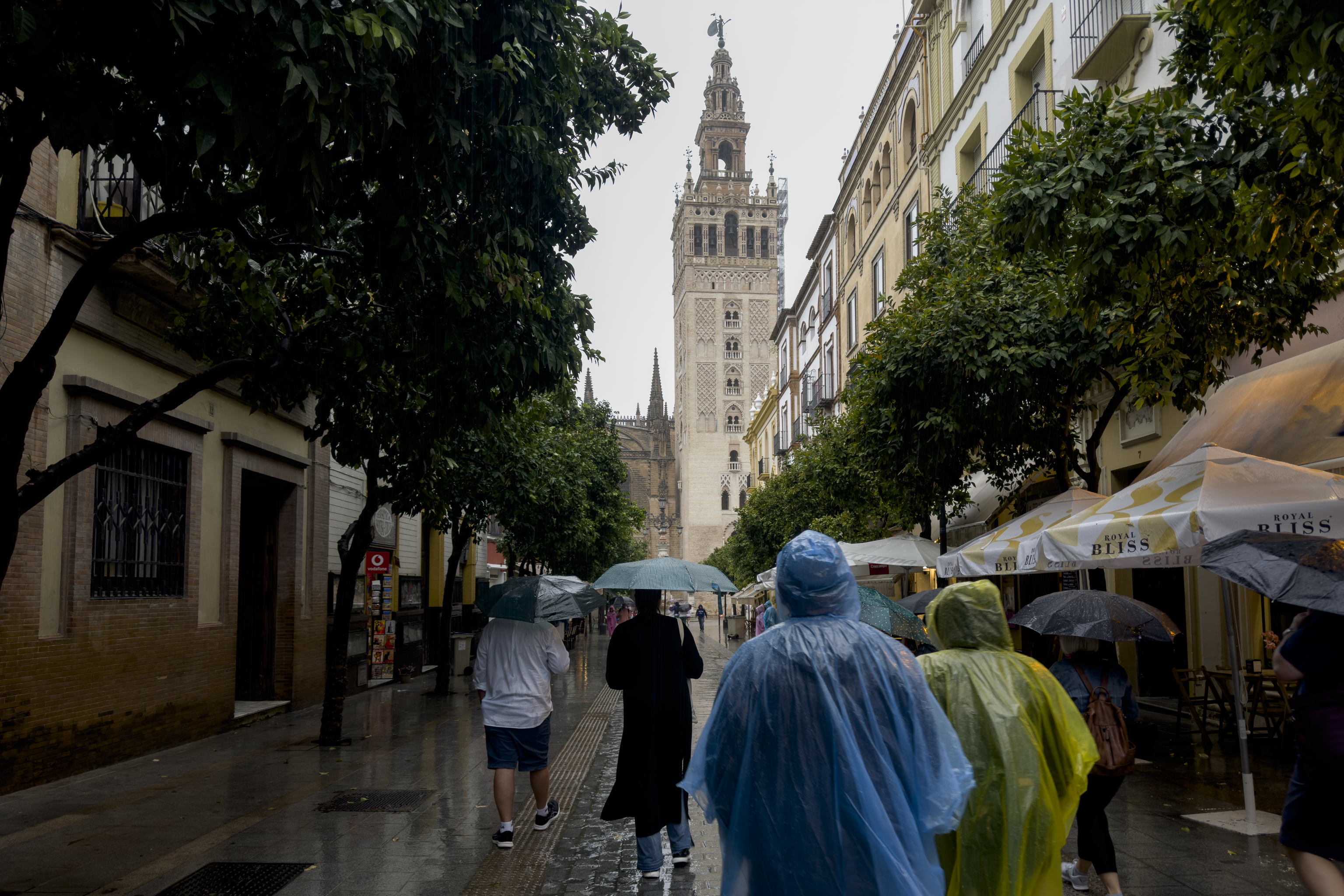 Un grupo de personas hace turismo bajo la lluvia