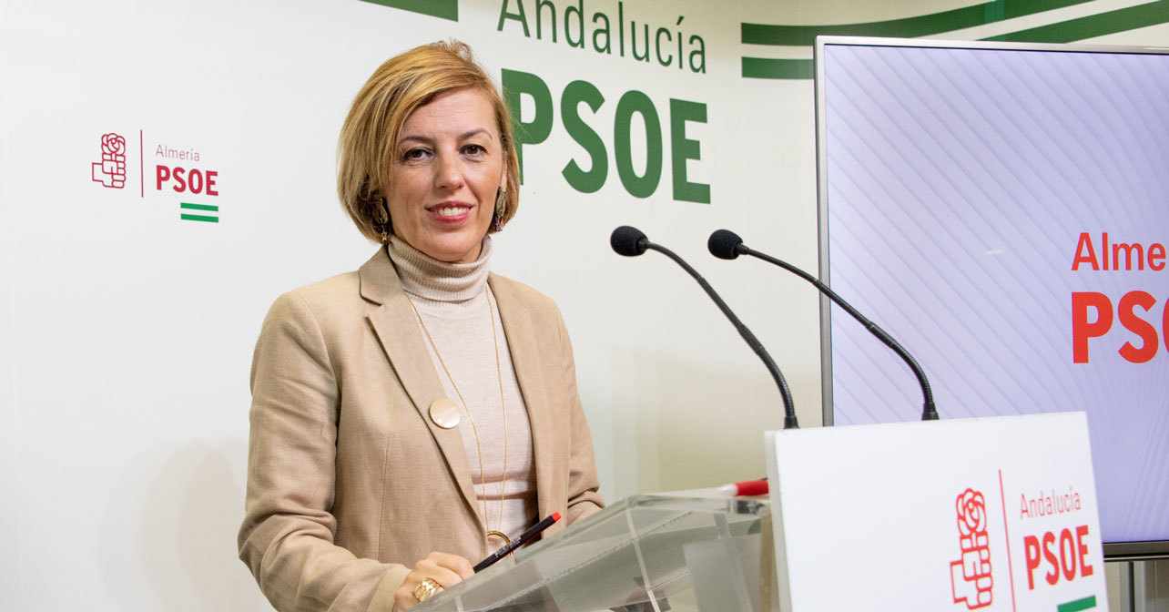 La ex diputada socialista Sonia Ferrer Tesoro