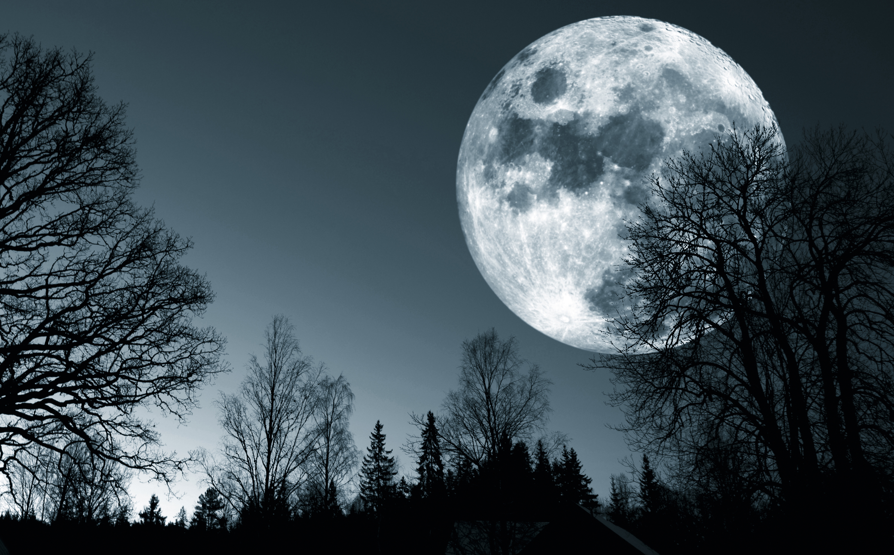 Fevereiro 2024 Calendário Lunar, Ciclos Lunares, Fases Lunares Foto Royalty  Free, Gravuras, Imagens e Banco de fotografias. Image 193083981
