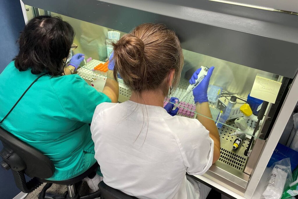 Infectlogos y microbilogos trabajan mano a mano, desde el laboratorio hasta la planta del hospital.